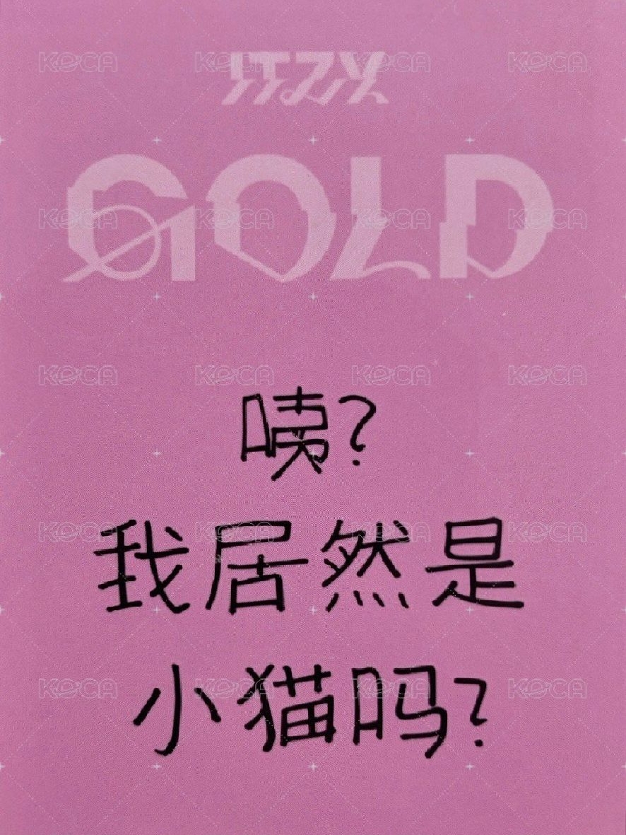 itzy黃禮志中背含綁_咦 我居然是小貓嗎