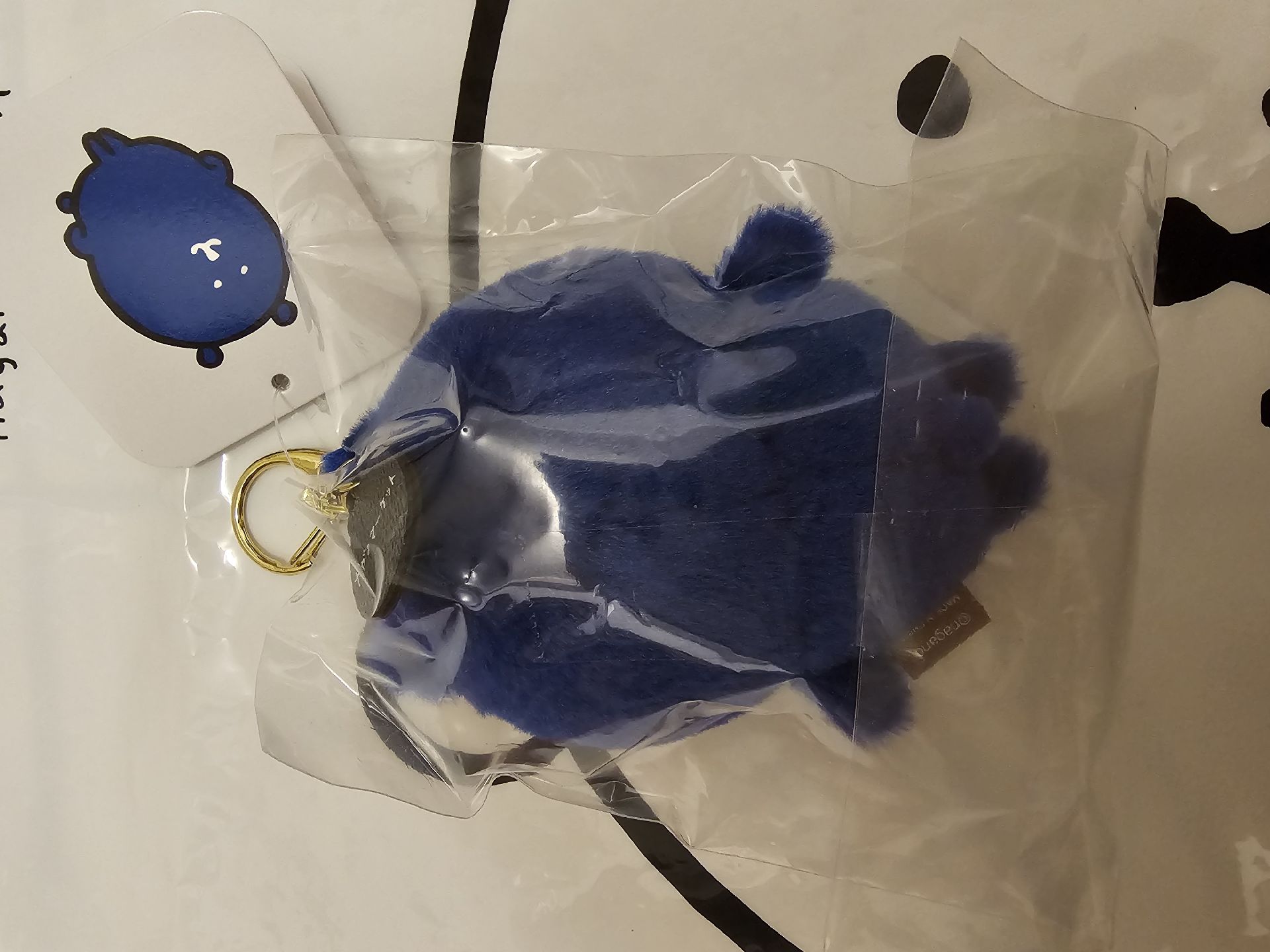 自嘲熊 彩虹熊 深藍