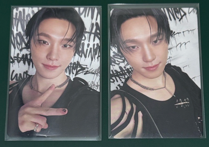 Dino 🦦正五專卡