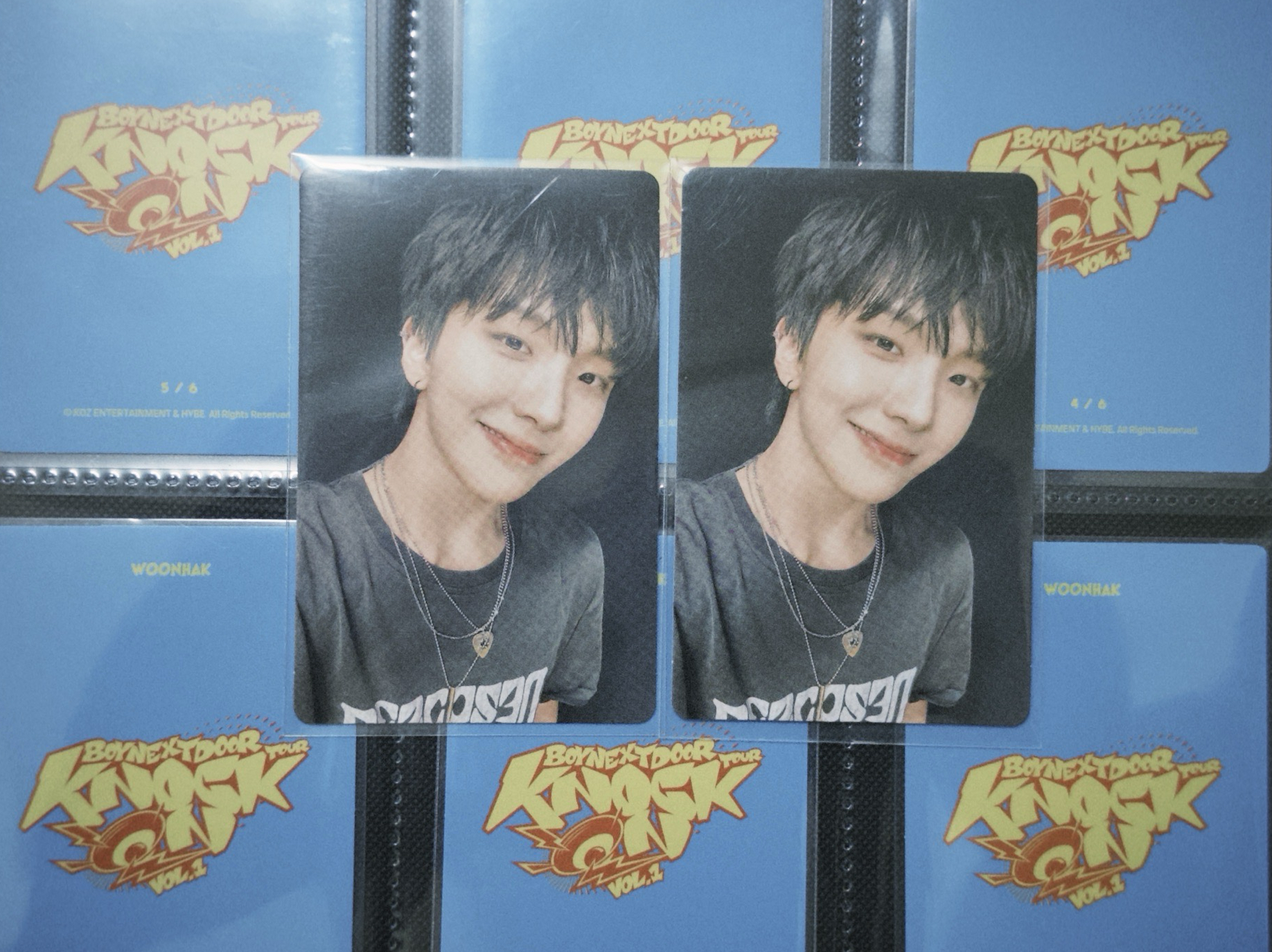 19.99專卡 金雲鶴