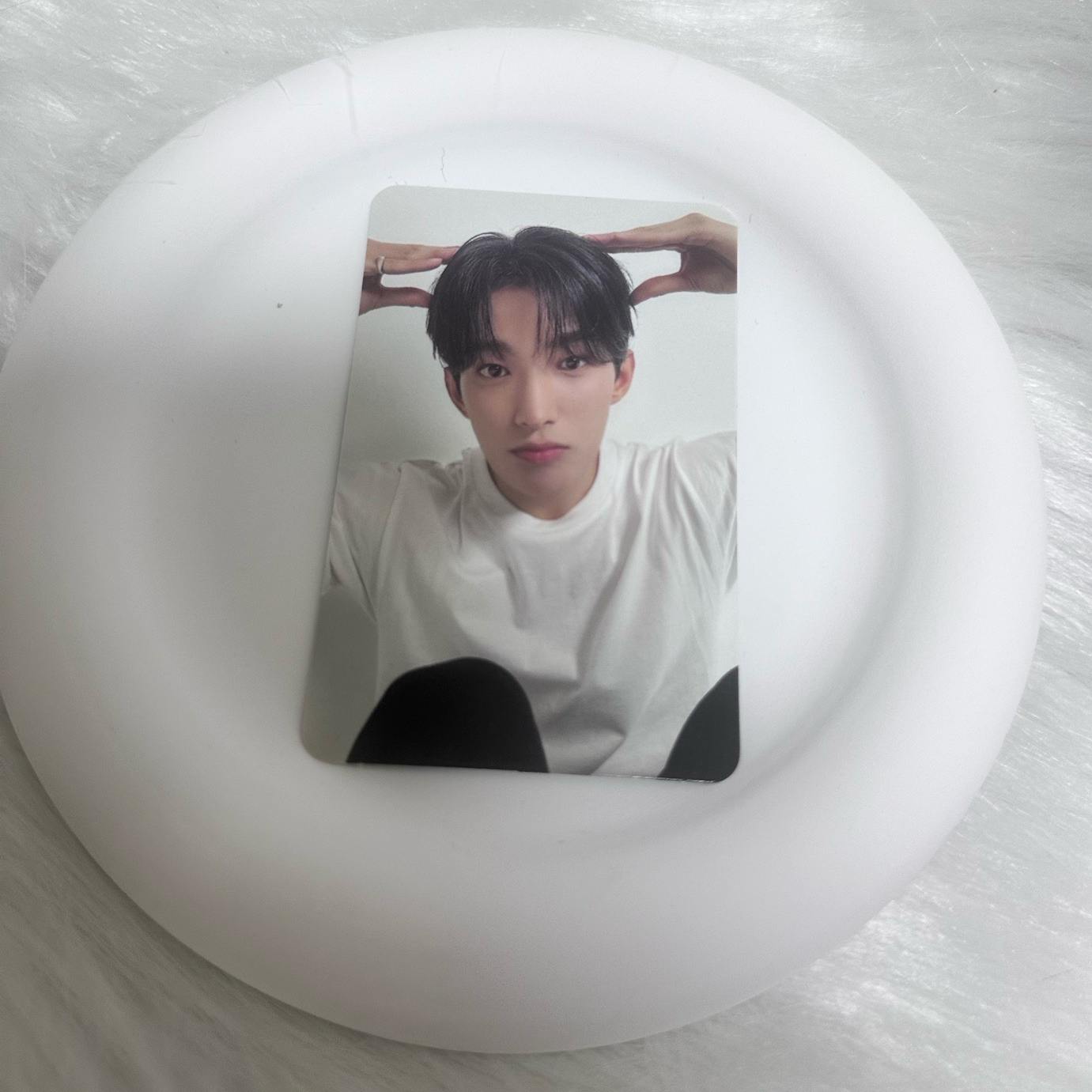 精選專親愛盤隨機卡狗狗碩🍕｜價格已含綁