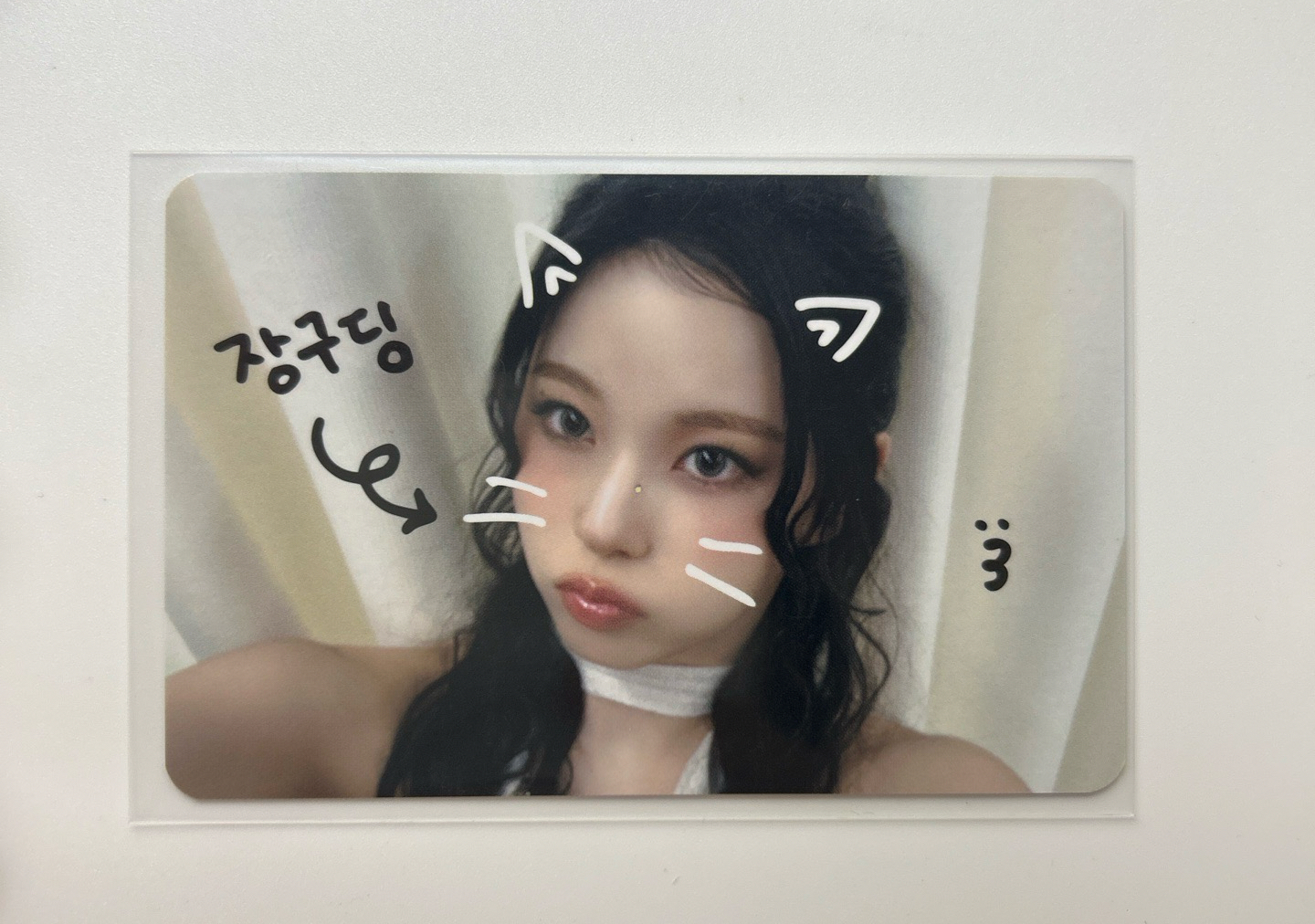 NMIXX MS寵物鏡頭圭