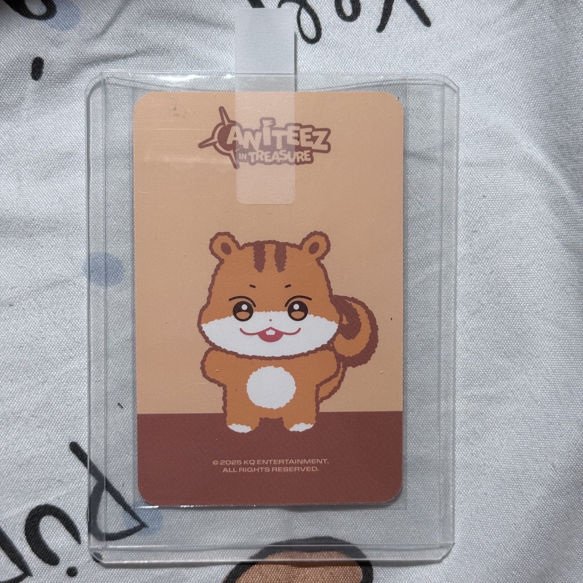 ANITEEZ 潦草娃卡 弘中