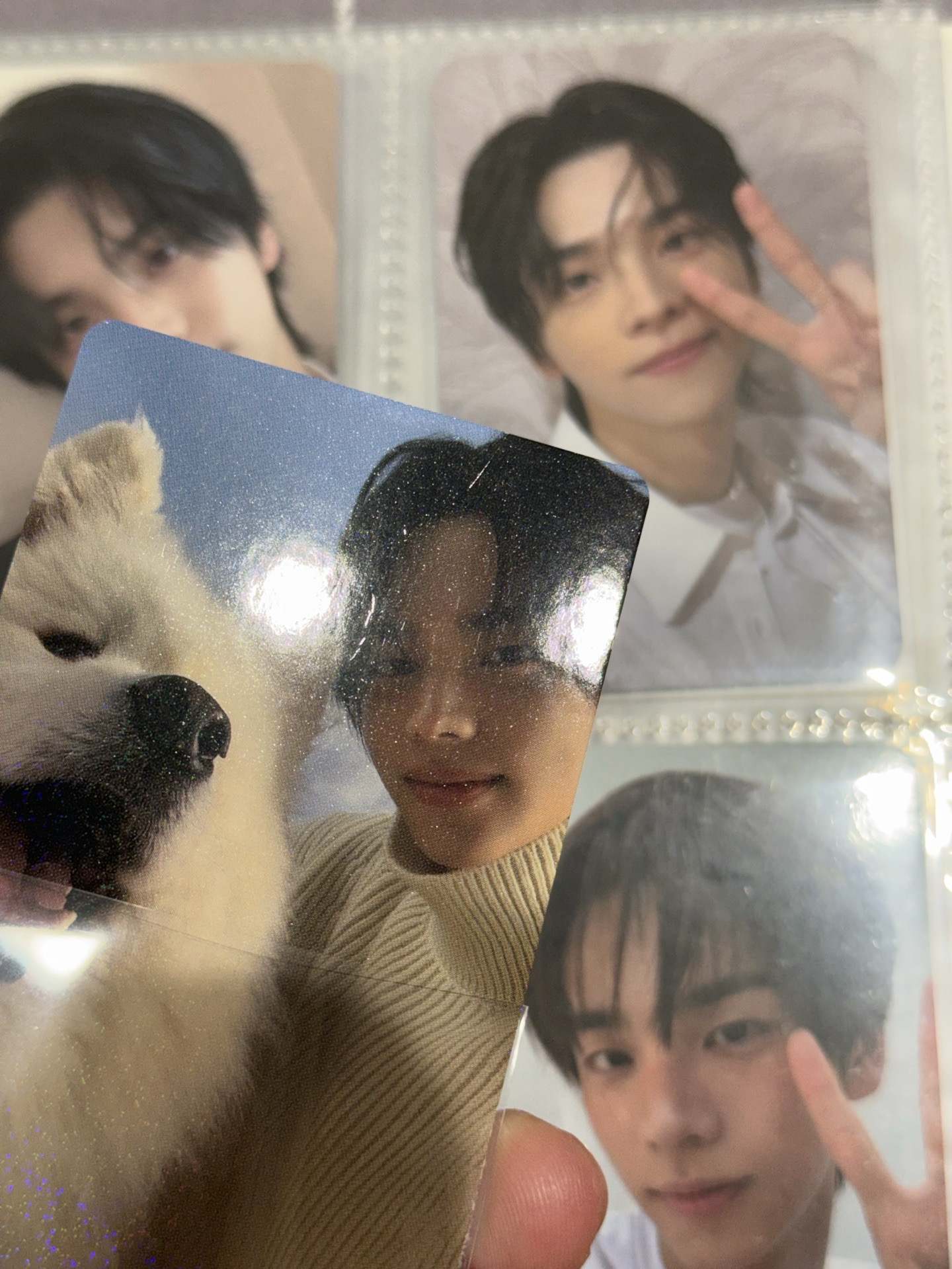 申惟Last Bell日咖單封特典