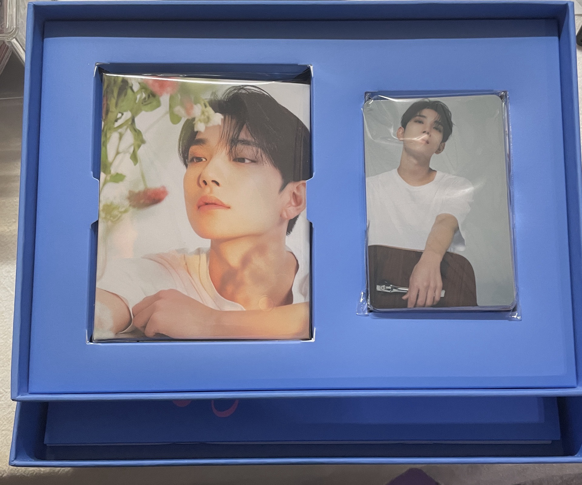 洪知秀精選專克拉盤