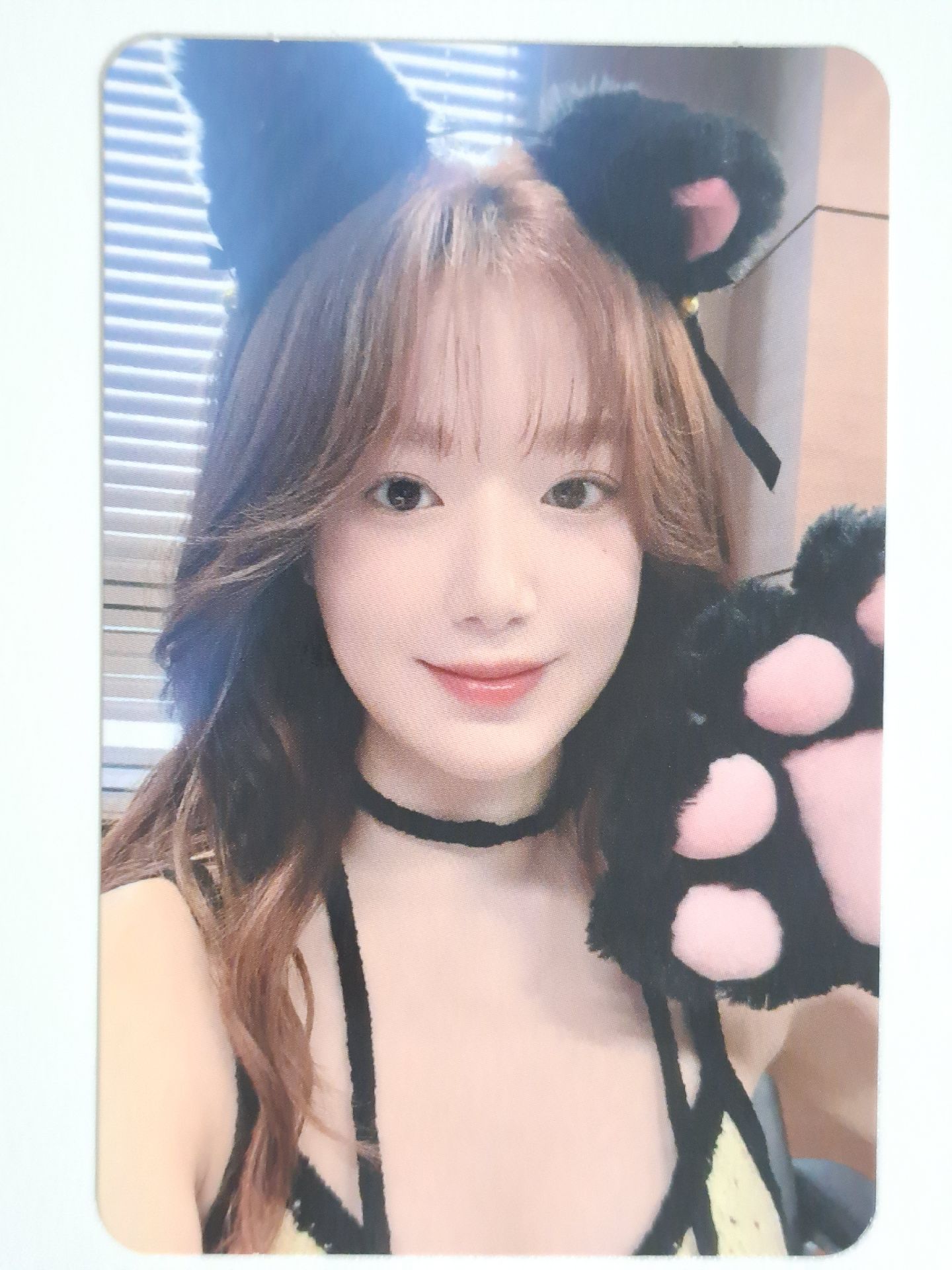 正規二 ms 16.0 簽售卡 貓爪刷