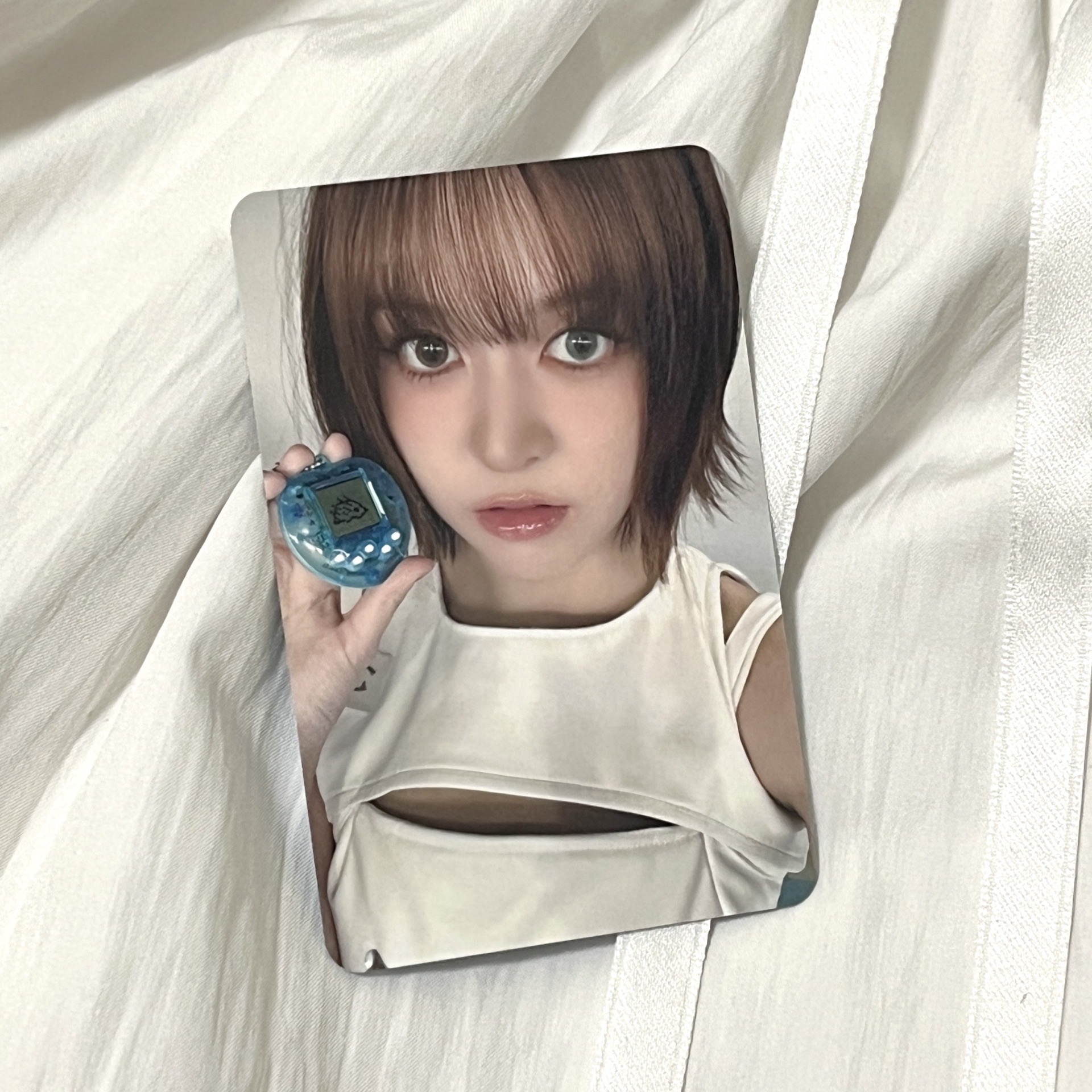 🐾NMIXX｜ms電子寵物莉