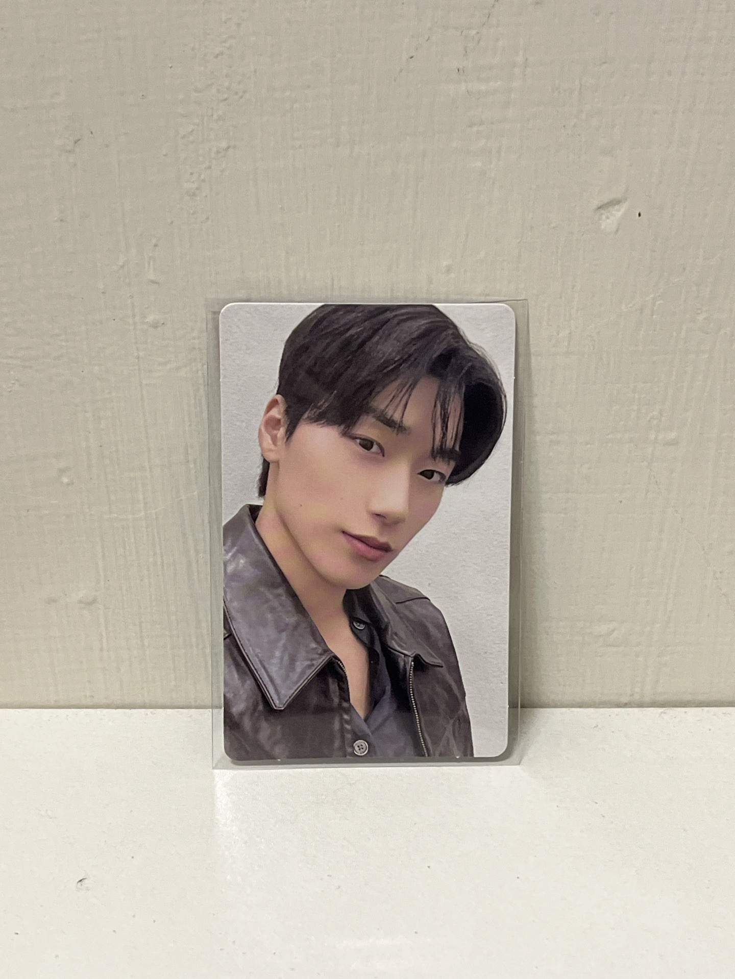 🖤崔傘 8ROOM 隨機卡 ver. B 