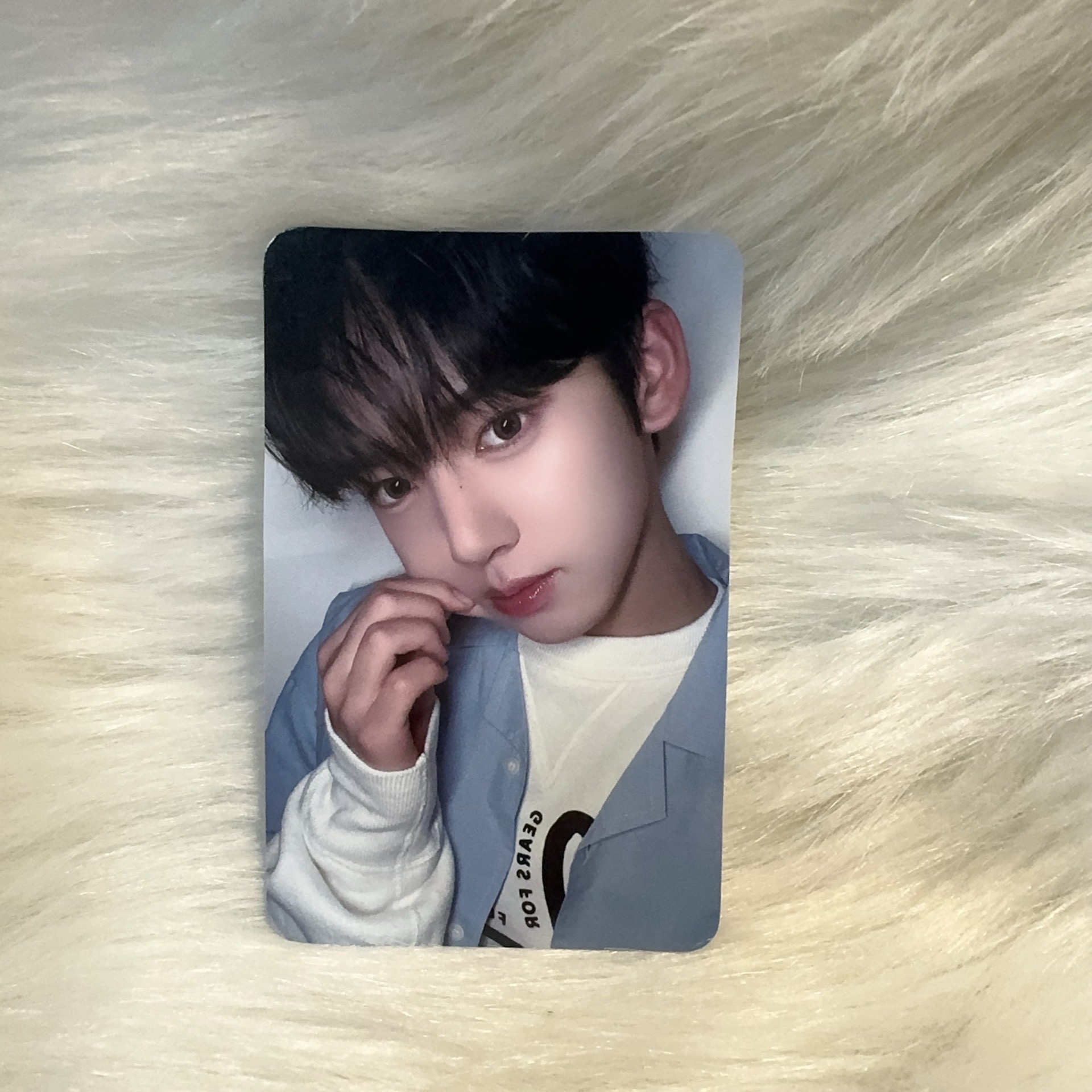 ZB1 ZEROBASEONE MELTING POINT EL 特典卡 維辰