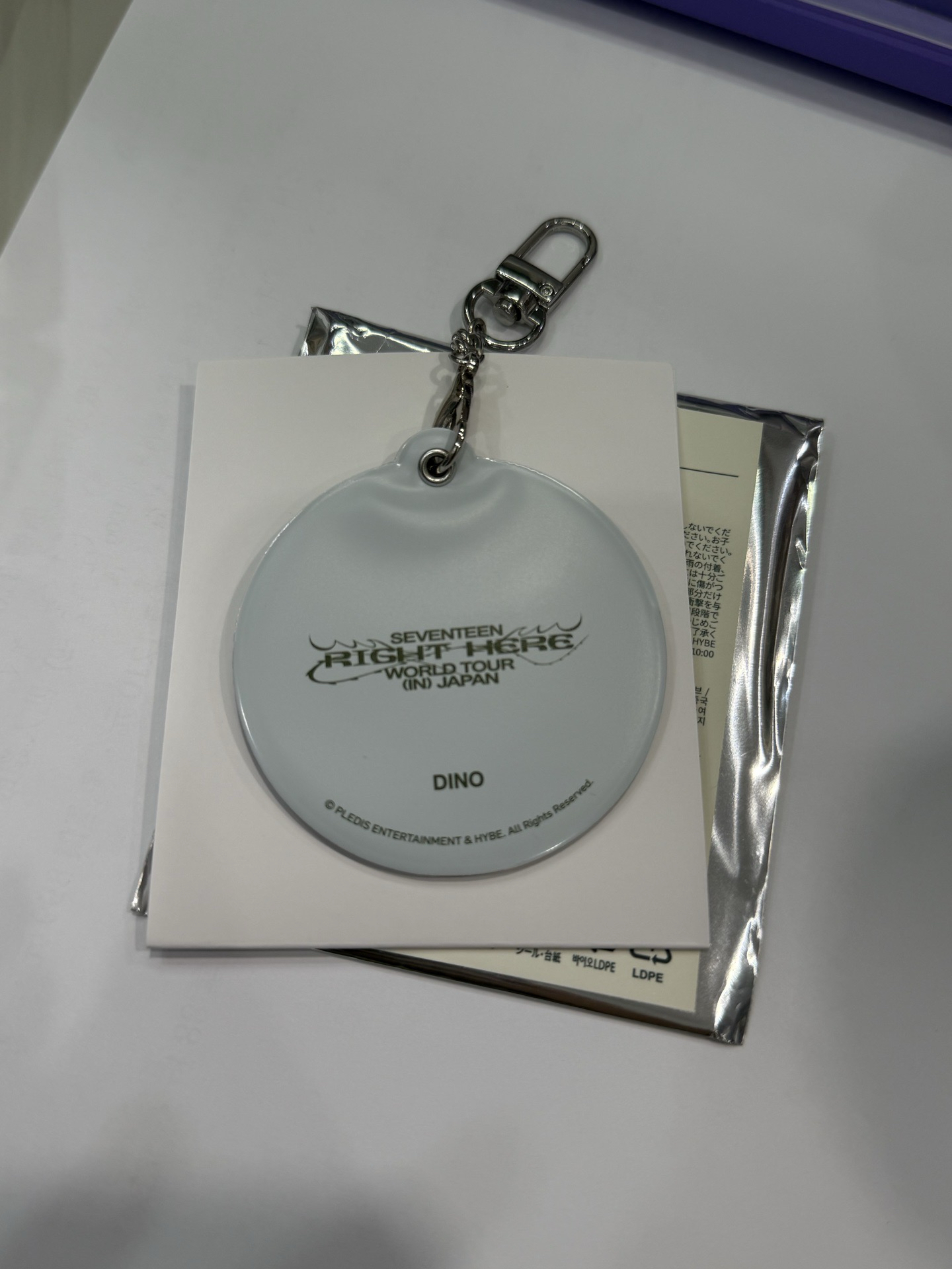 日巡小扇套 DINO 李燦