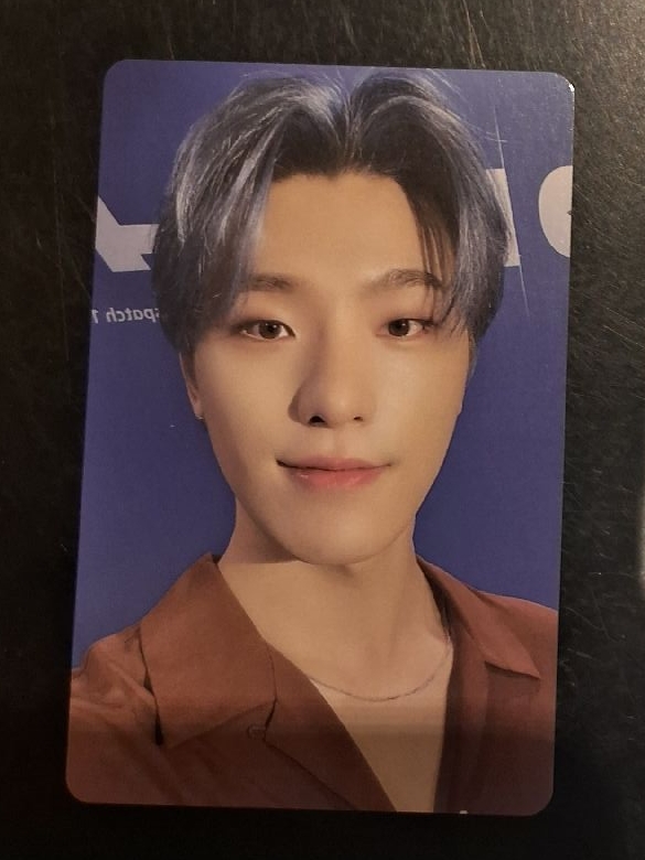 燦 2022 D社卡冊卡