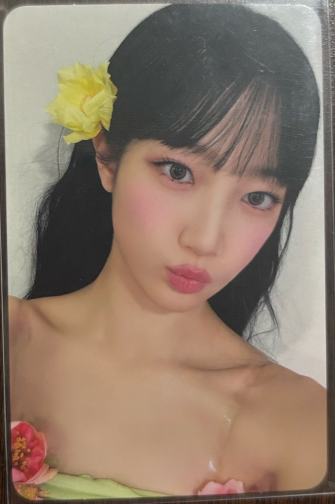 LE SSERAFIM 蝦皮葉