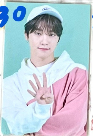 四十四隻石獅子卡