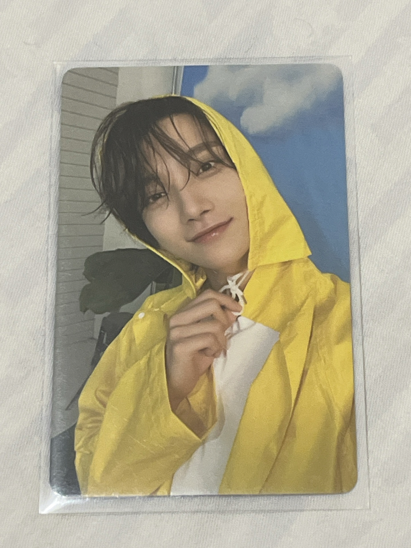 雨衣刷 克拉盤 雨衣盤 洪知秀