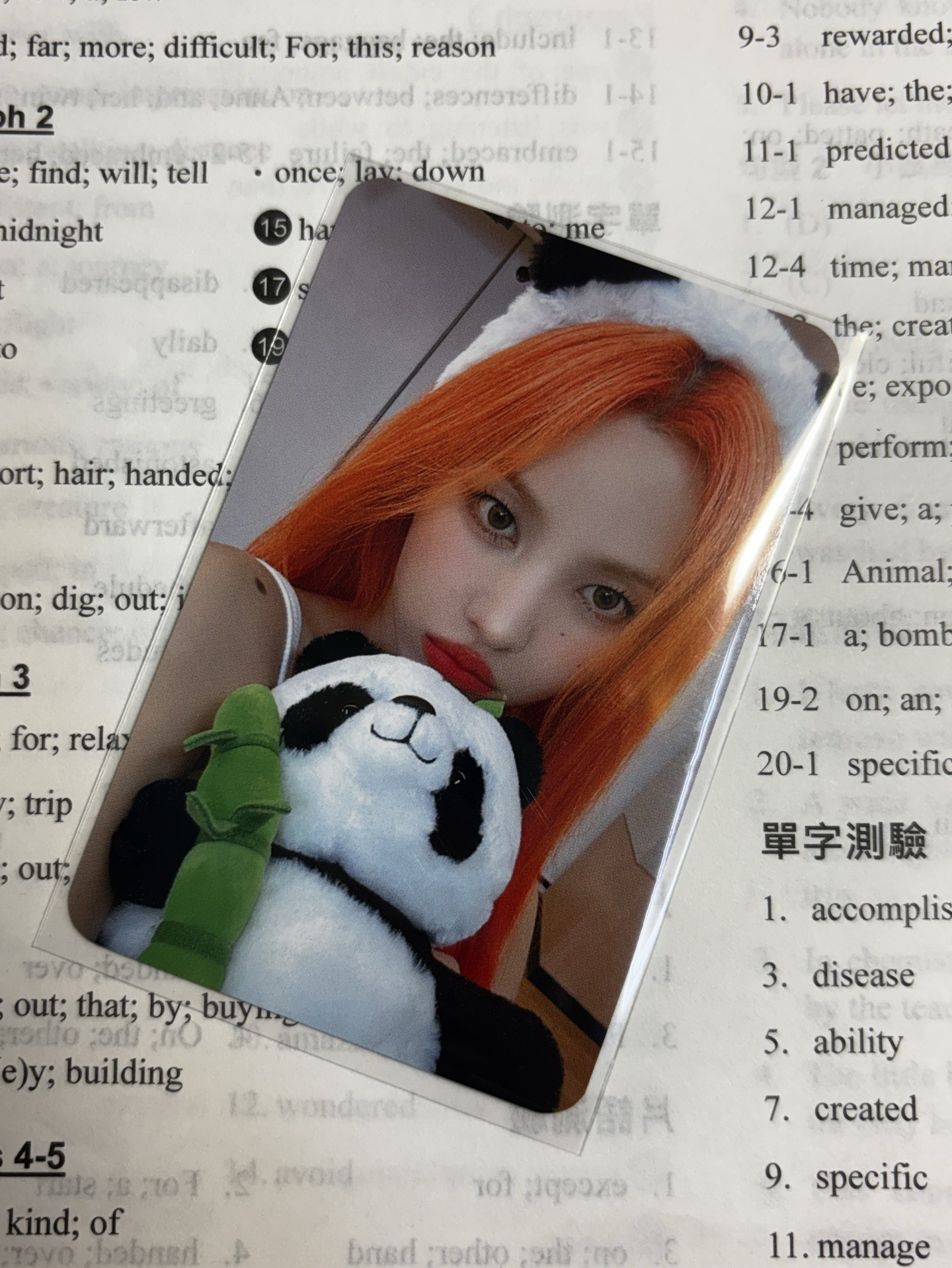 I SWAY 熊貓娟特典