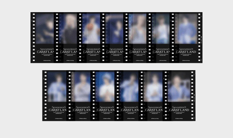 wvs DVD 預購特典