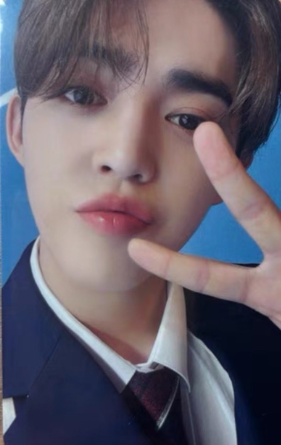 🍒哲 dream日專 名古屋場限✨