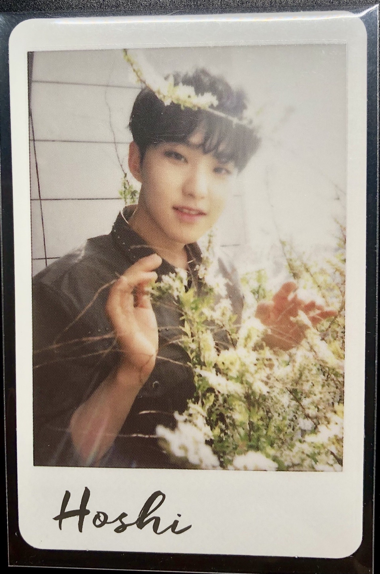 迷四拿花（🩵100）