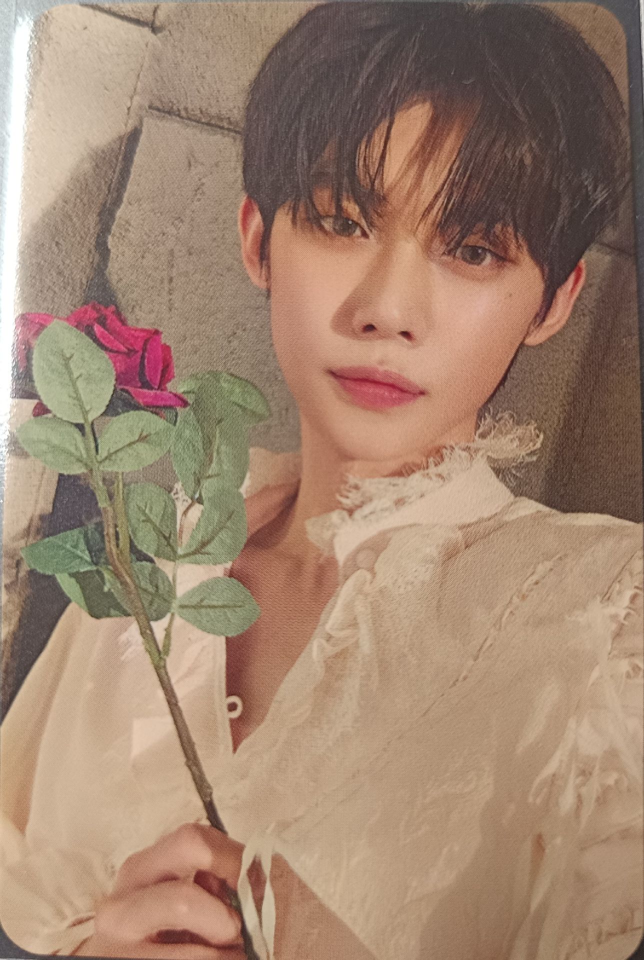 迷六 專卡 Romantic版 竣