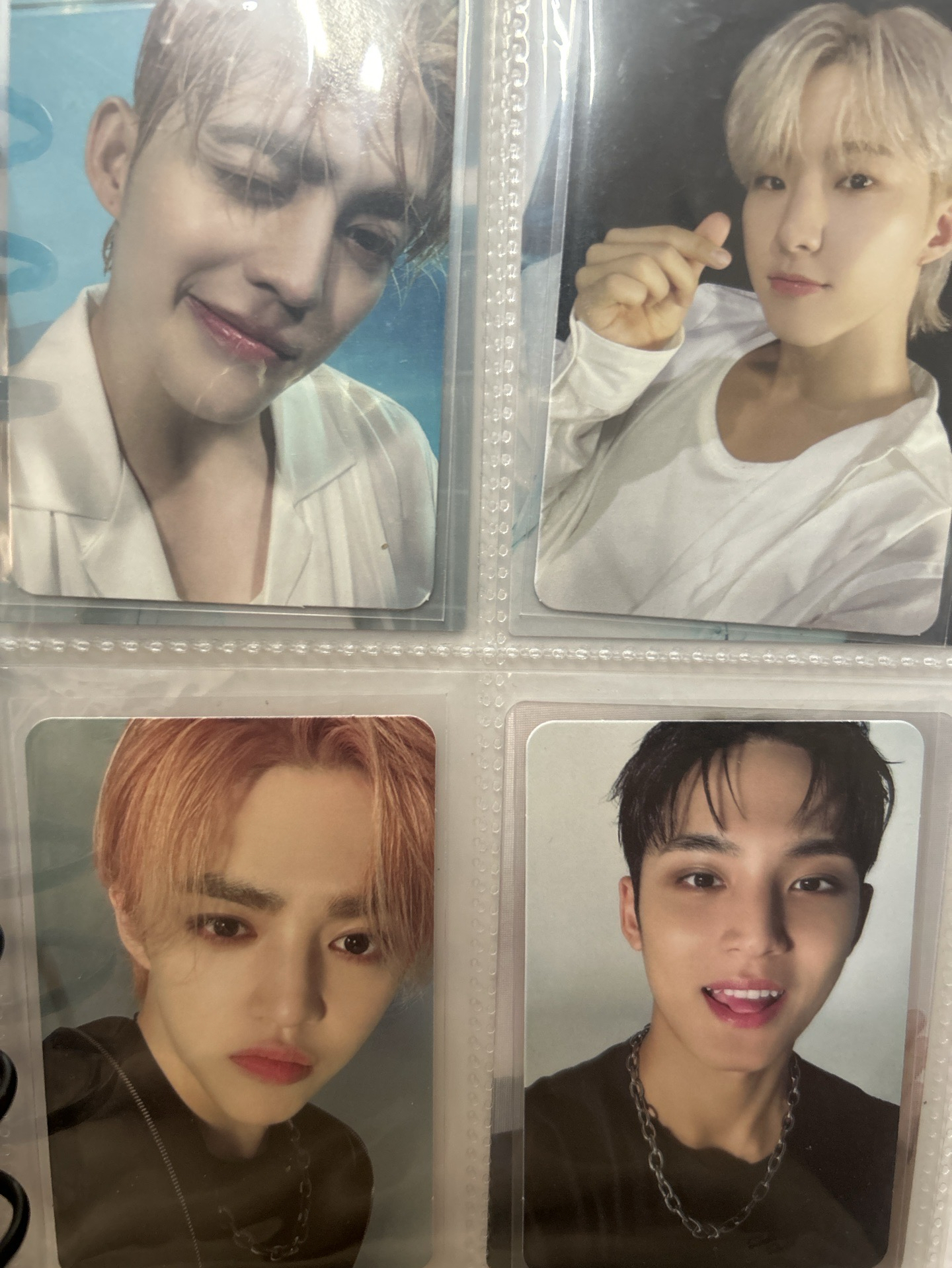 迷十二專卡 哲榮奎