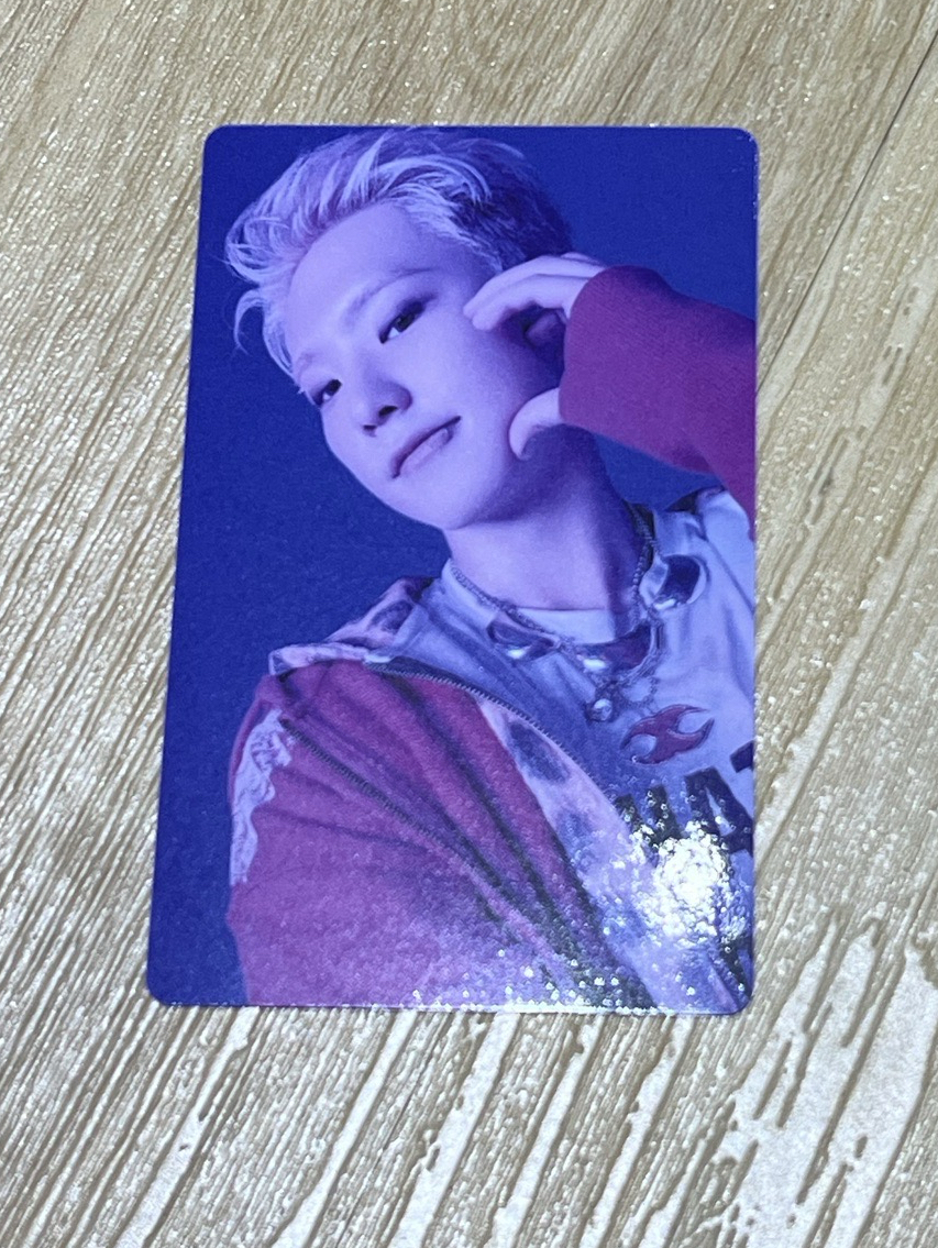 BSS 順榮 hoshi wvs應募卡