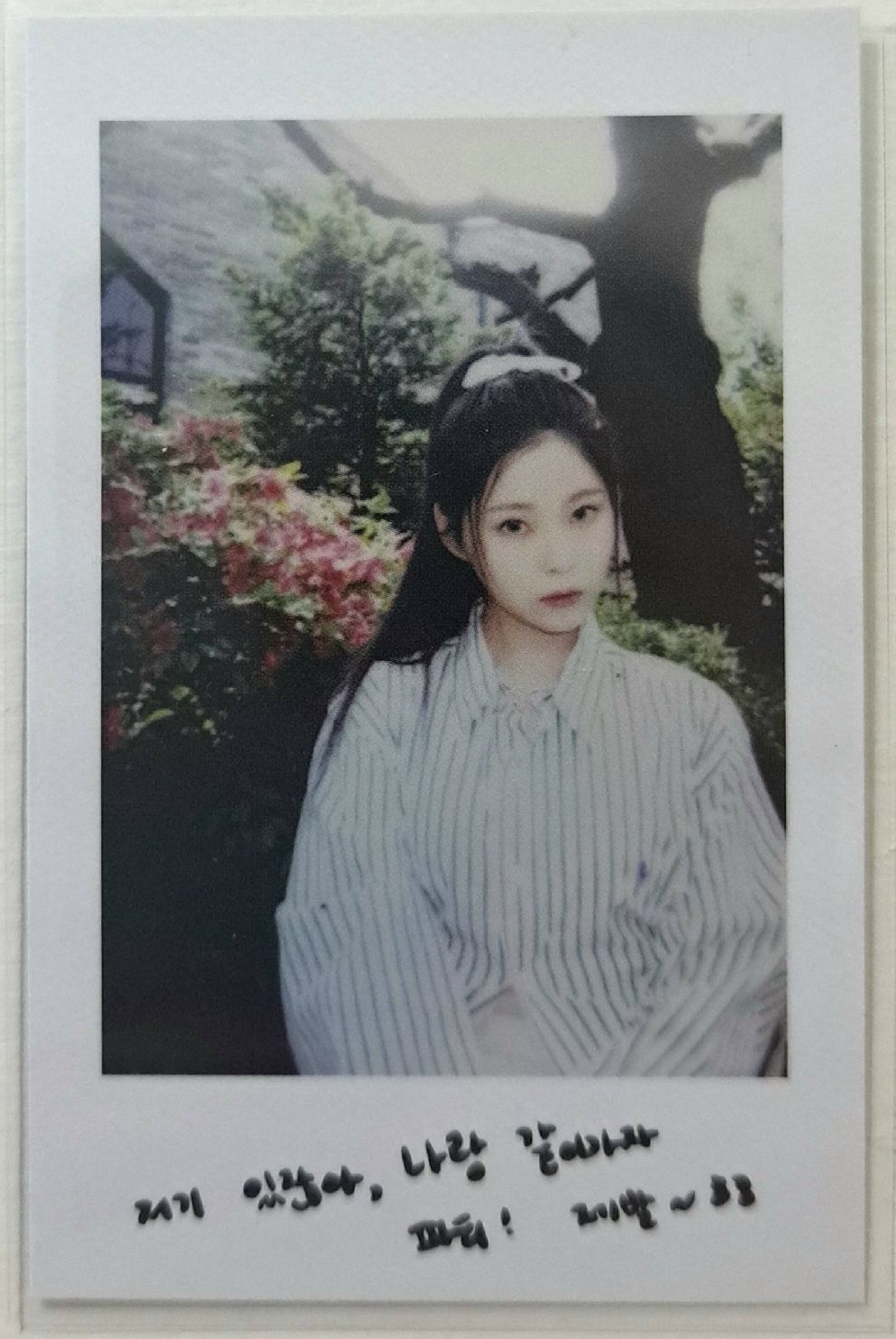 仲夏夜拍立得圭