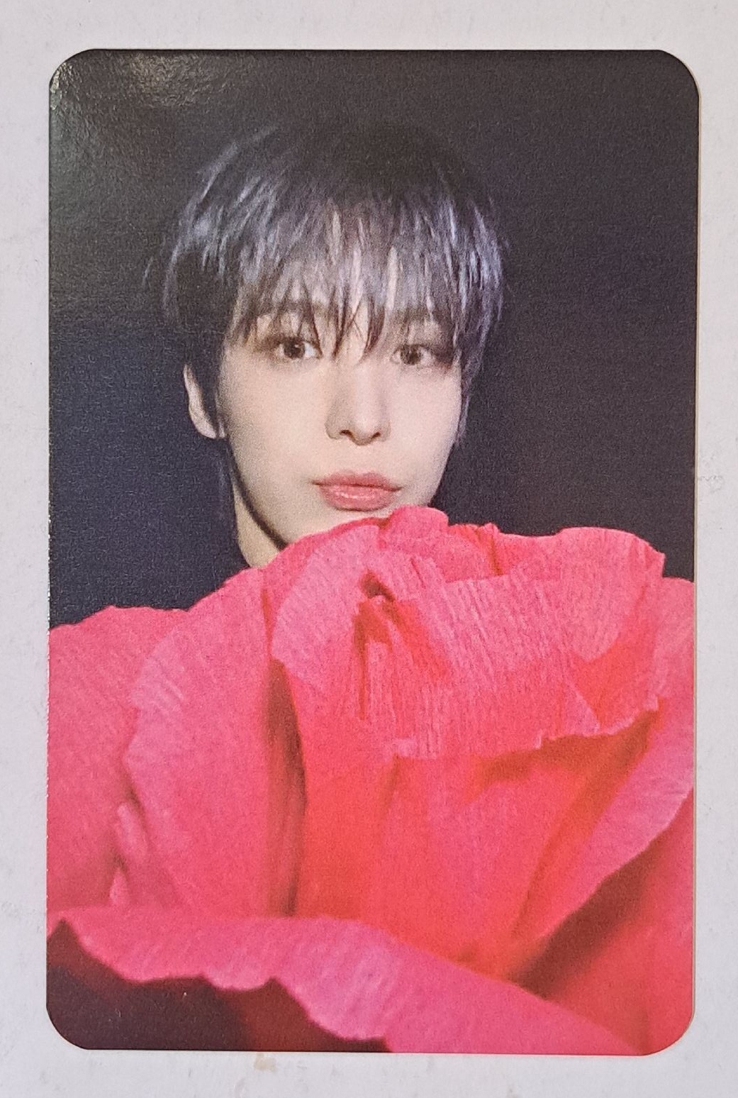 IYF大信封特典 捧花潤