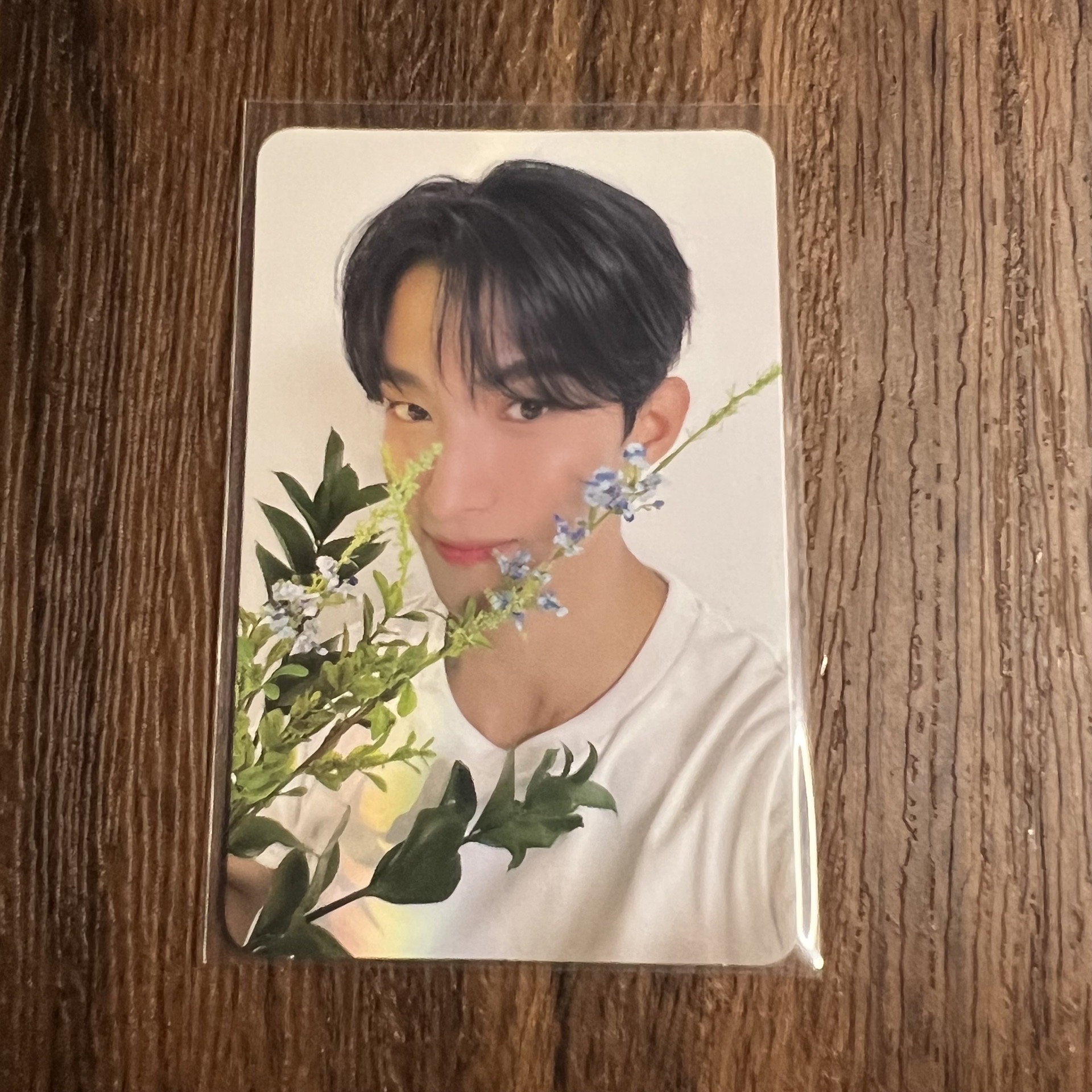 克拉盤隨機卡 碩