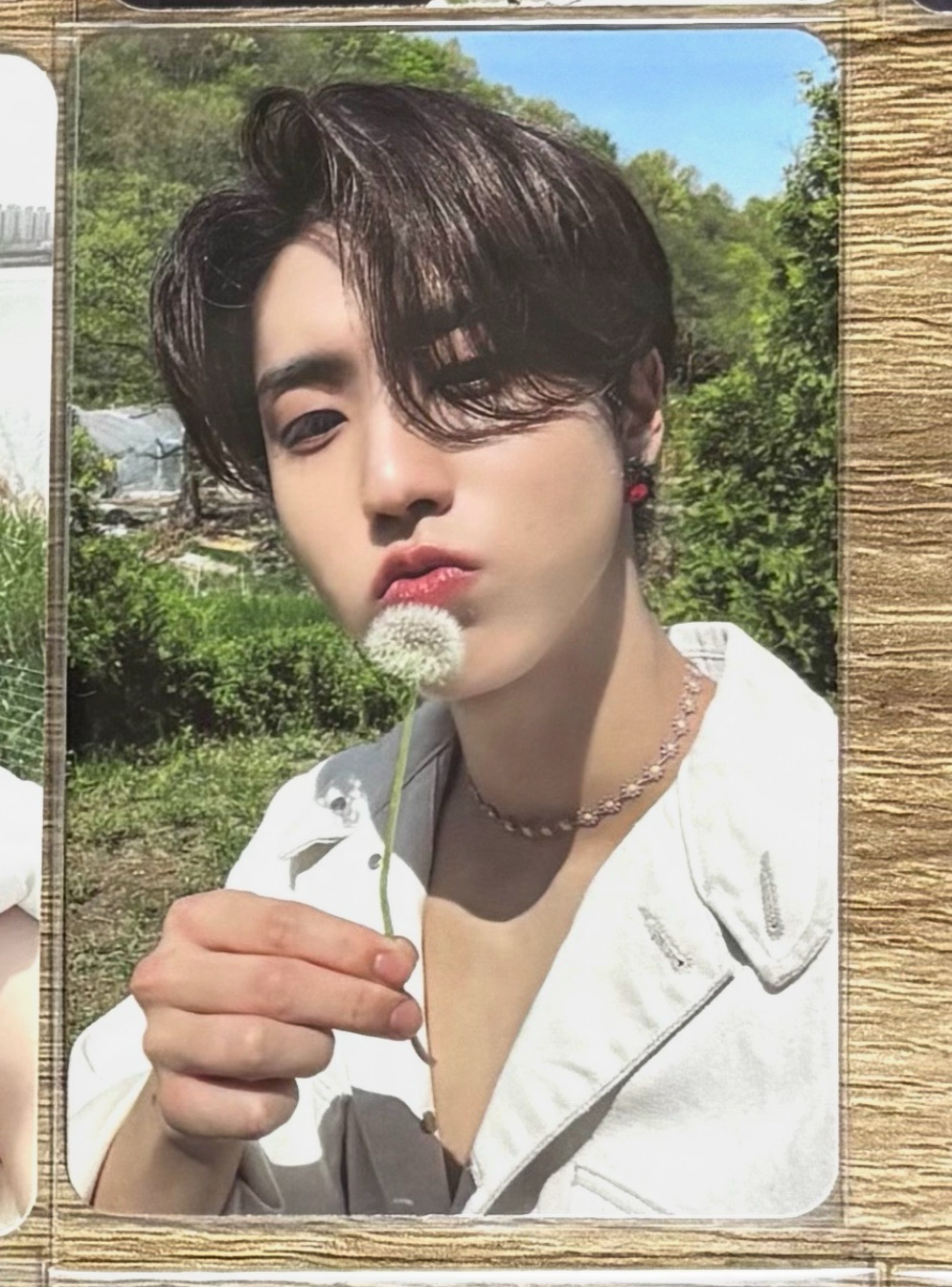 MAXIDENT 專輯卡 T-Crush ver.