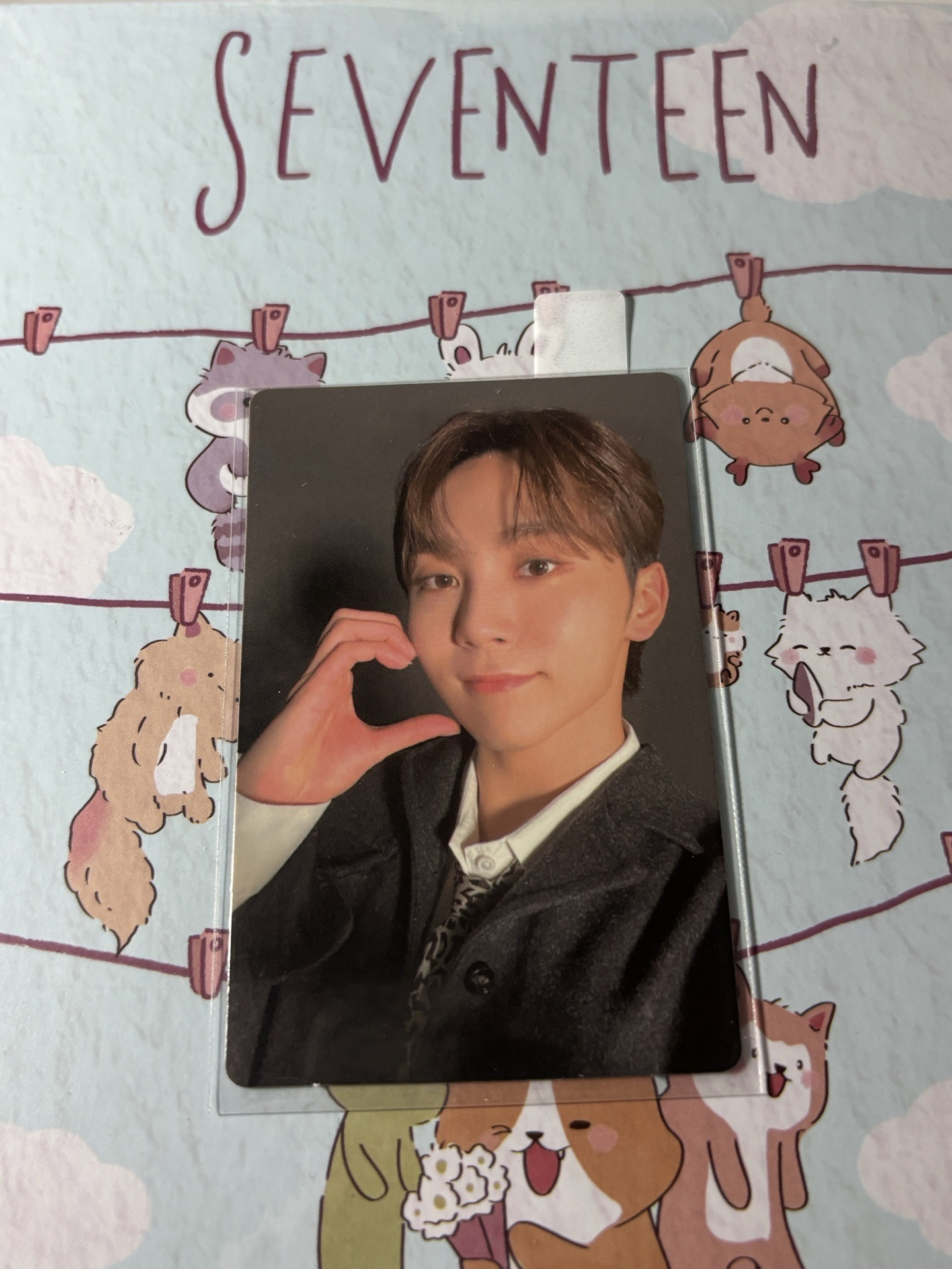 🤍正四 專卡 carat ver. 寛