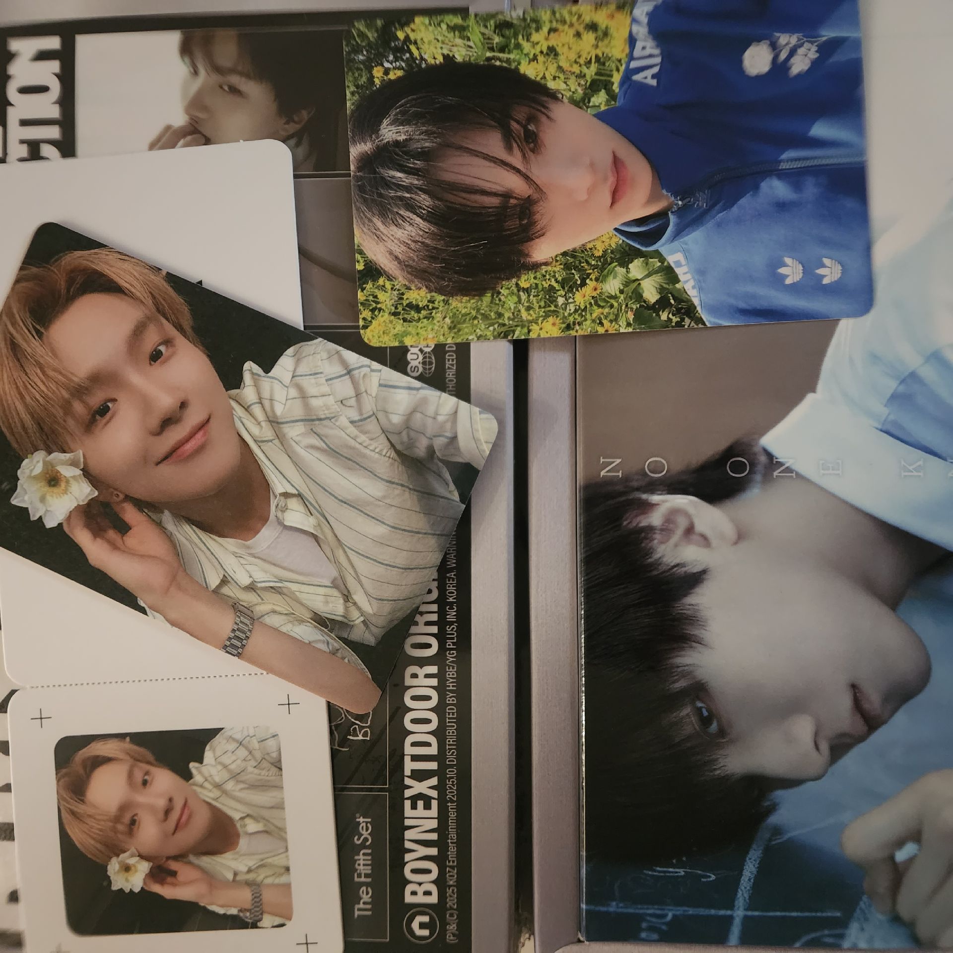 wvs特典6+單封6專+單封4卡