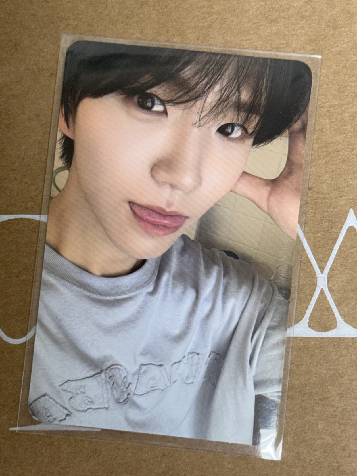 Jaehee md快閃滿額卡 世最萌狗