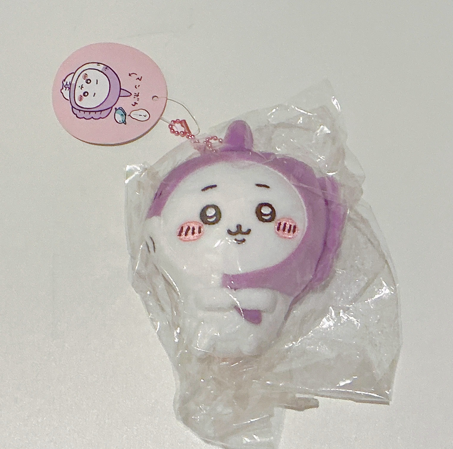 🇯🇵吉伊卡哇 水族館系列 翻車魚吉伊 