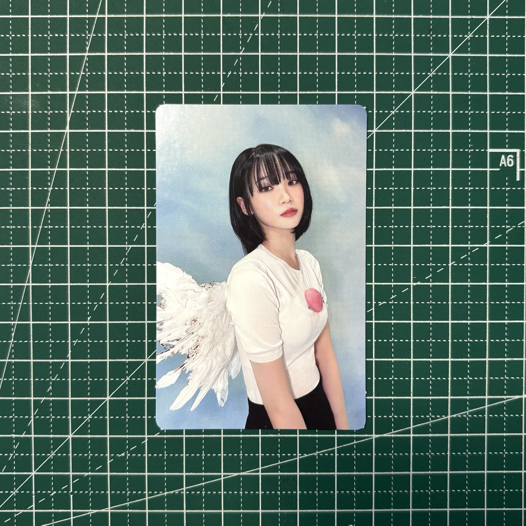 𓊆 無赦專卡 𓊇