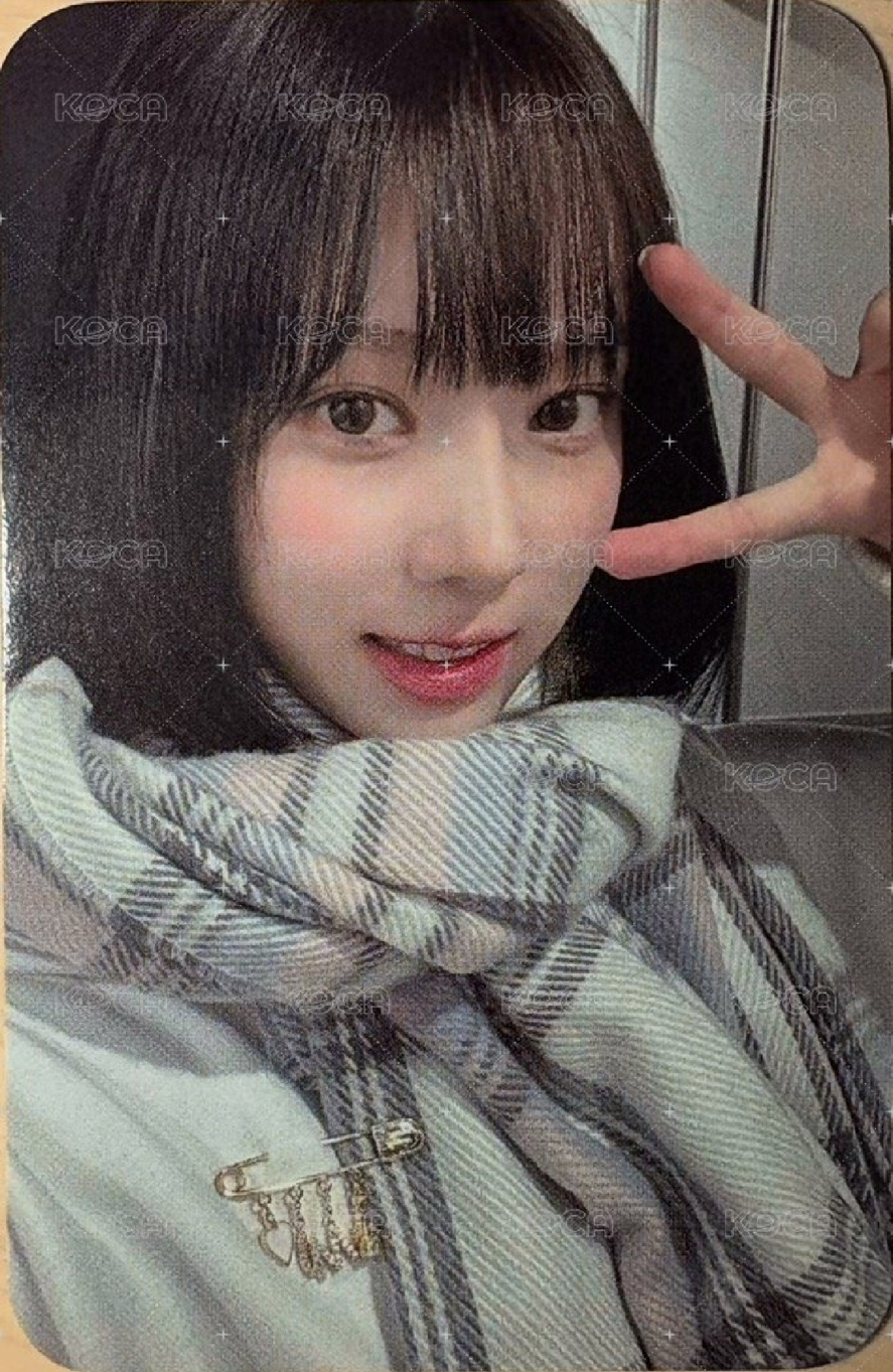 23生日冬