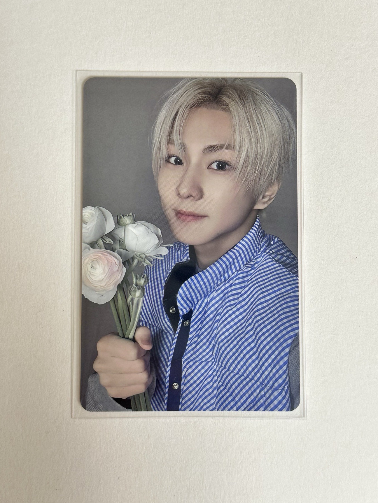 宵日專 日咖特典 梁禎元