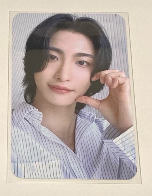 小動物系列(calling/treasure/icecity)