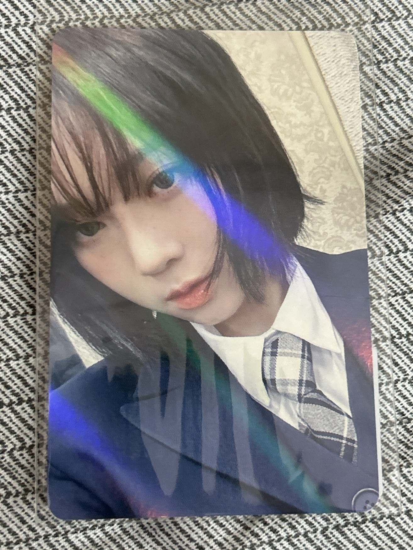 MY WORLD ms 特典卡 預售冬 校服冬