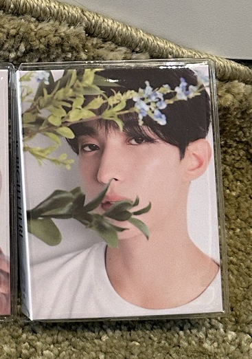 現貨🩷SEVENTEEN 精選專 李碩珉克拉盤空專 送迷12磁鐵特典🎁