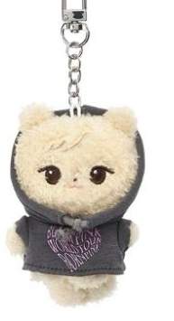 世巡肉娃綁一張卡或官方卡冊