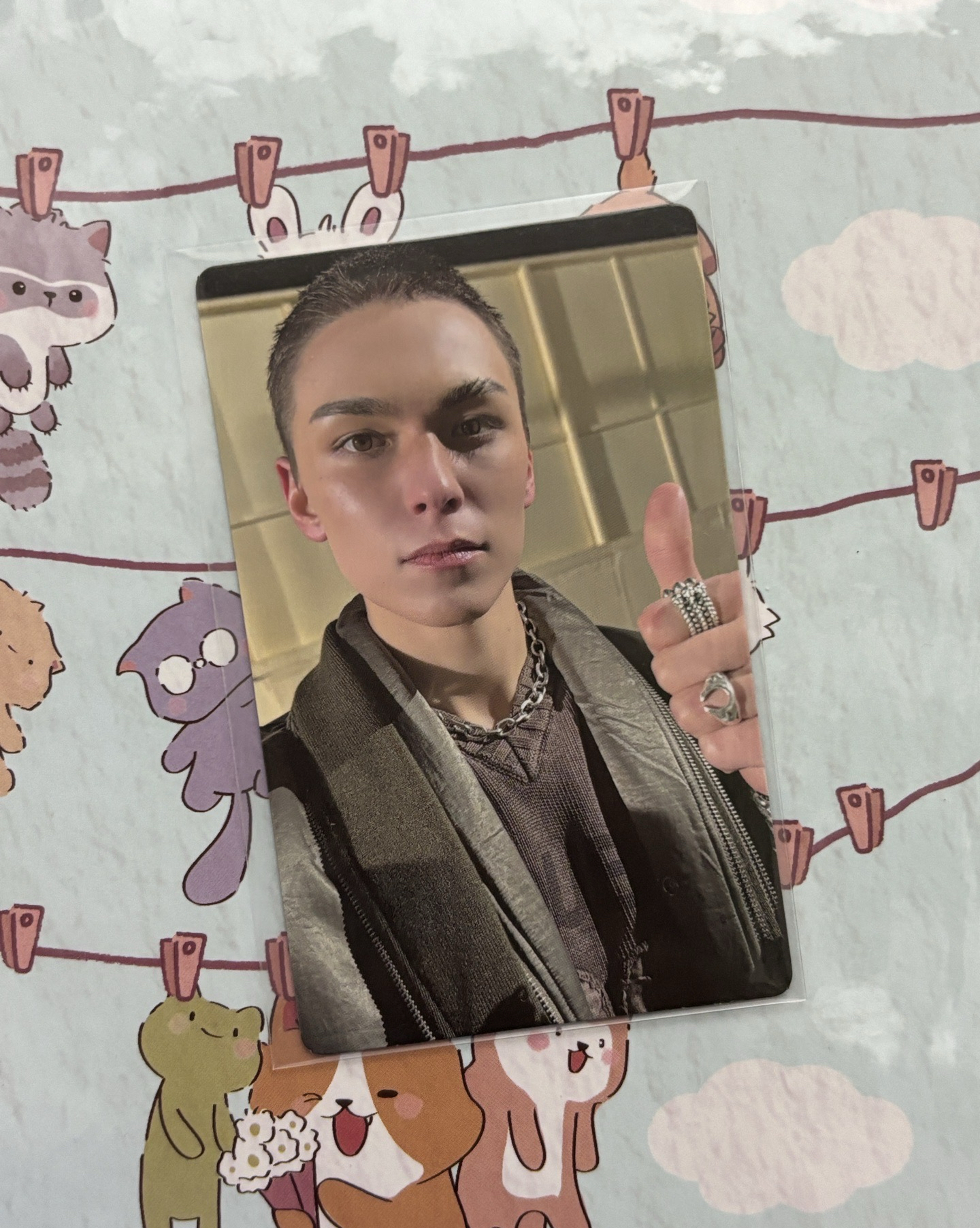 🤍正五 wvs特典 率