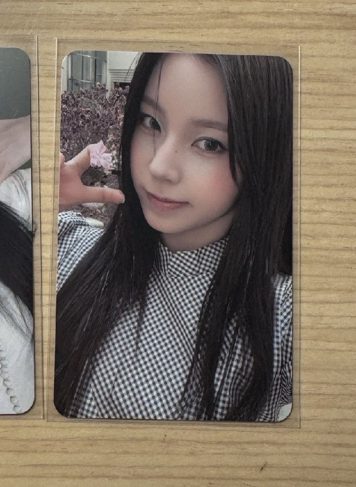 正規一 專卡圭（可被帶）