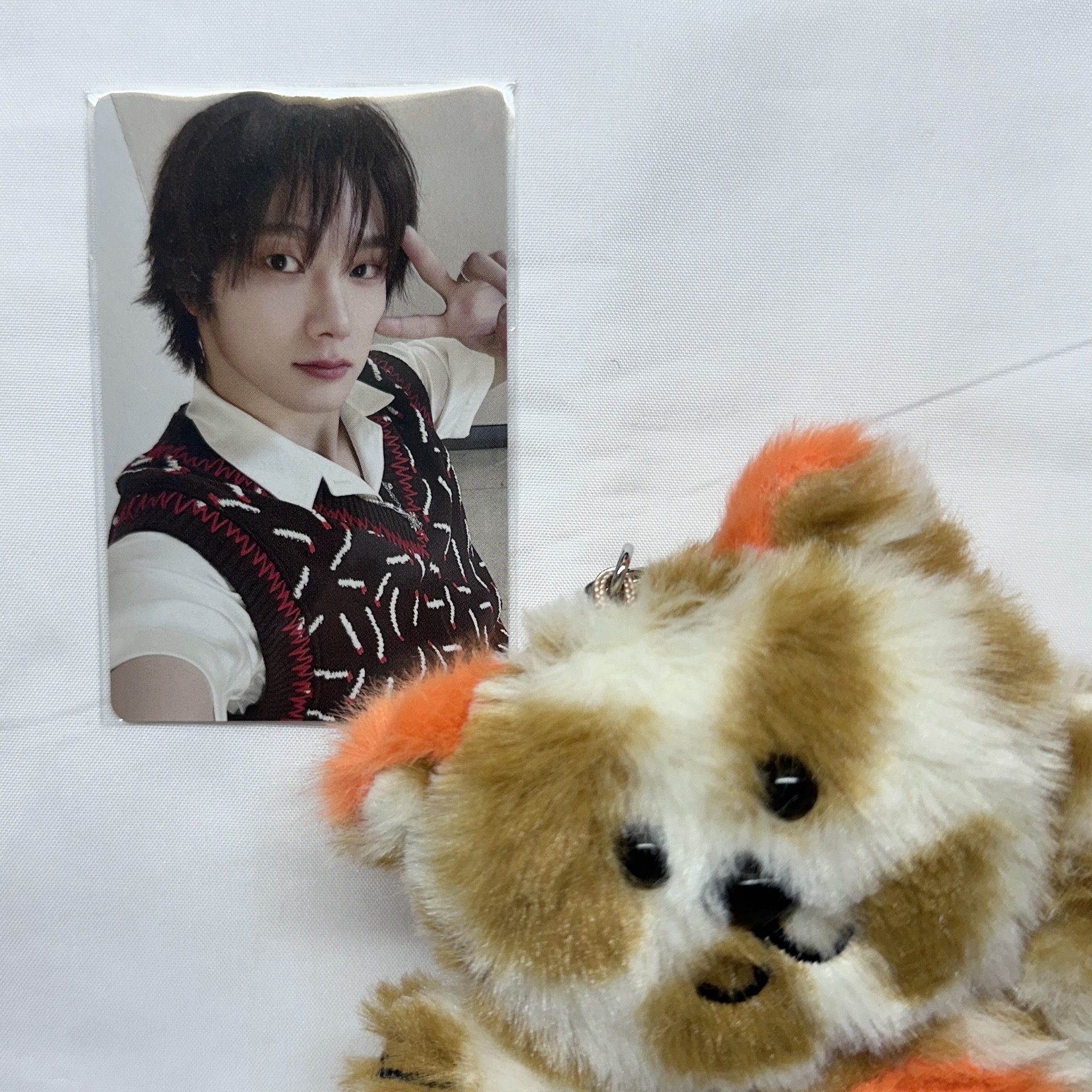 ⟡ 1 朴成淏 ⟡ BOYLIFE weverse 預售幸運卡 LD特典