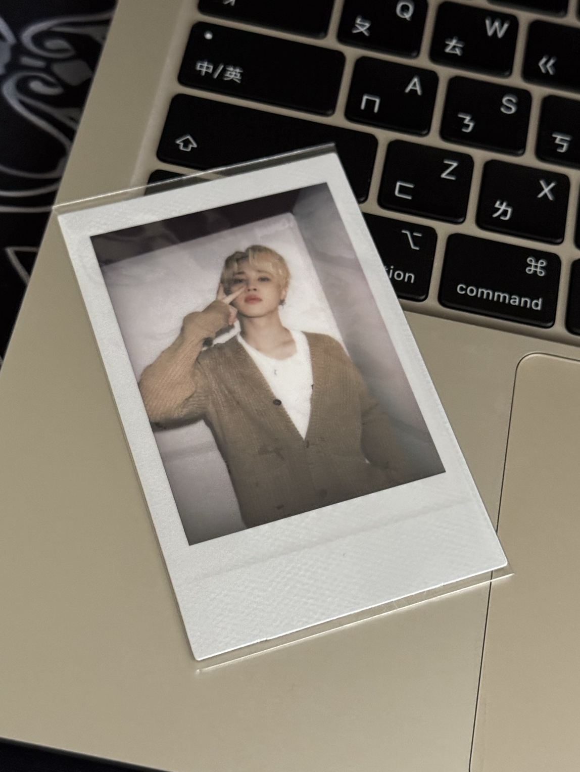 拍立得 》珍旻泰國🐹🐥🐻🐰