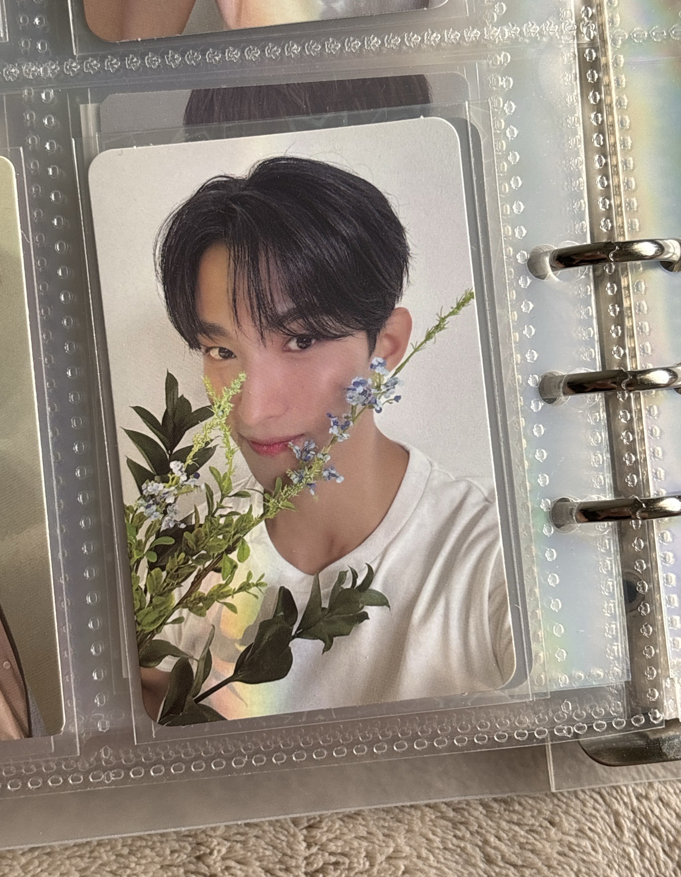 精選專 克拉盤 碩