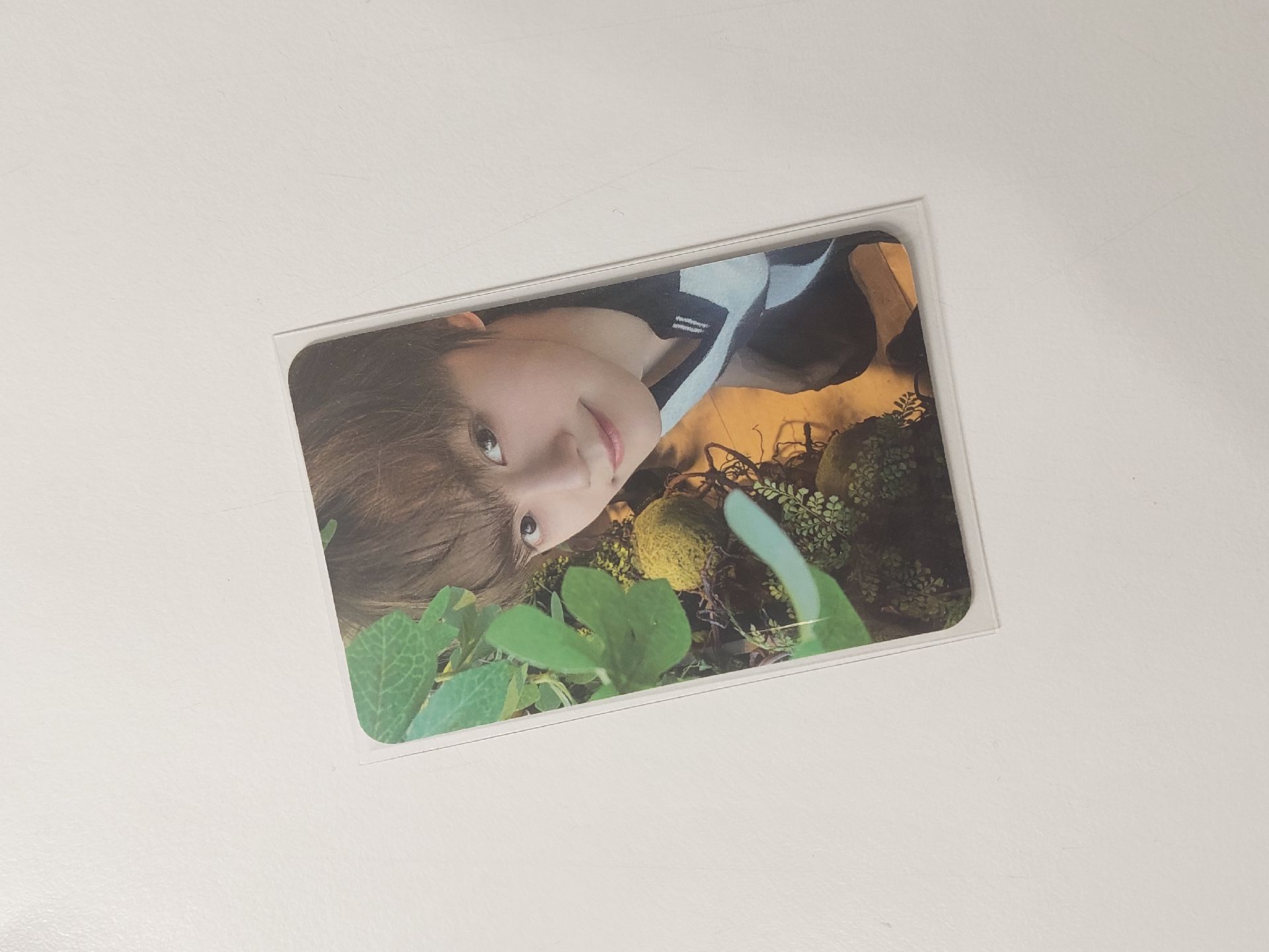 zb1 金奎彬 timeless world 電影卡