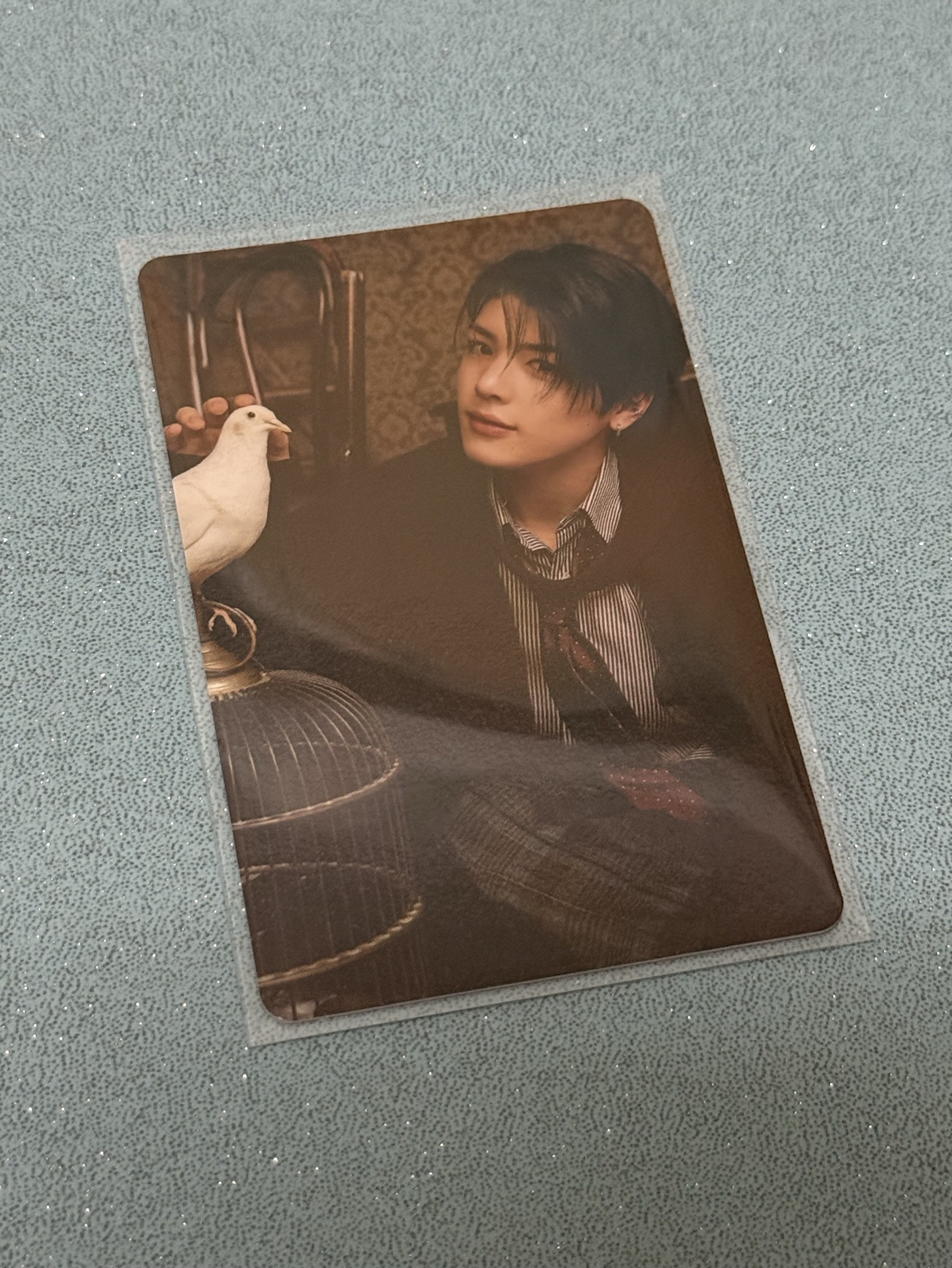 &team Fanmeeting 隨機卡