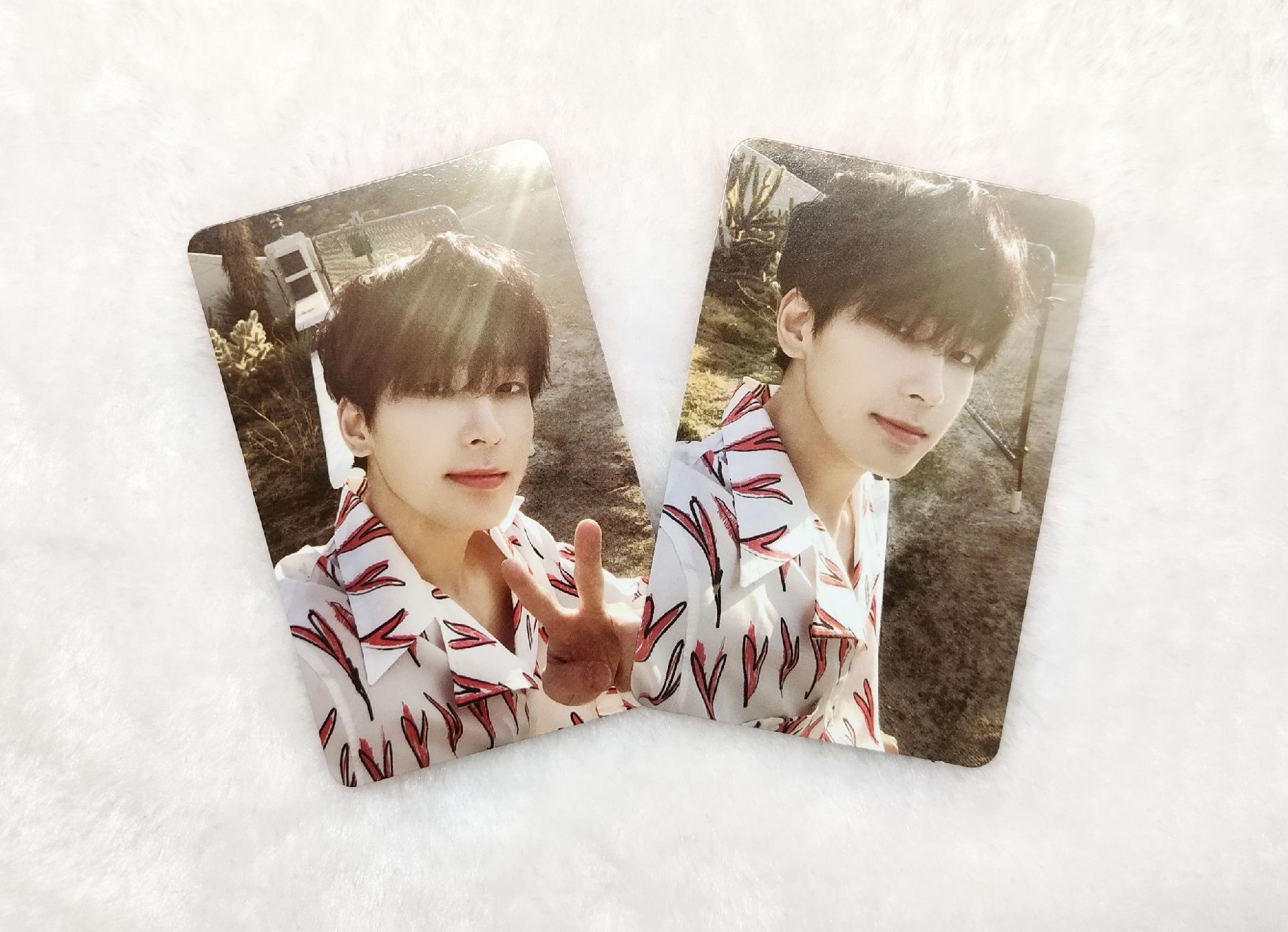 SEVENTEEN 迷7 圓佑專卡 陽光圓