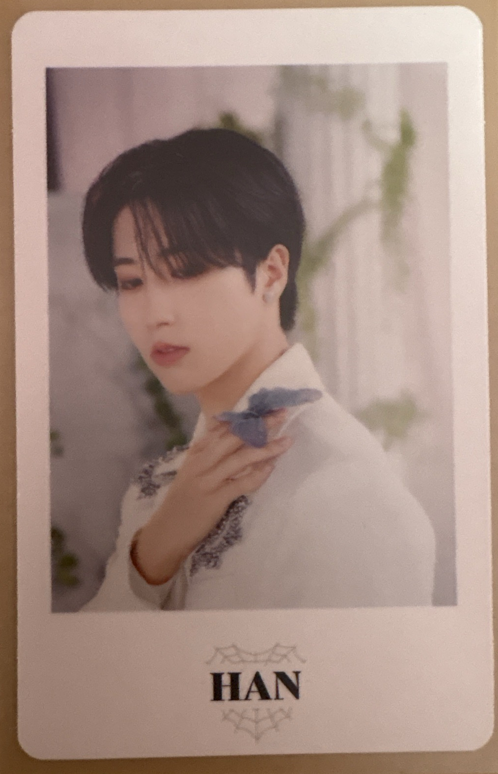 Stray kids 韓知城 2nd 世巡 周邊卡 日本安可場周 小卡組