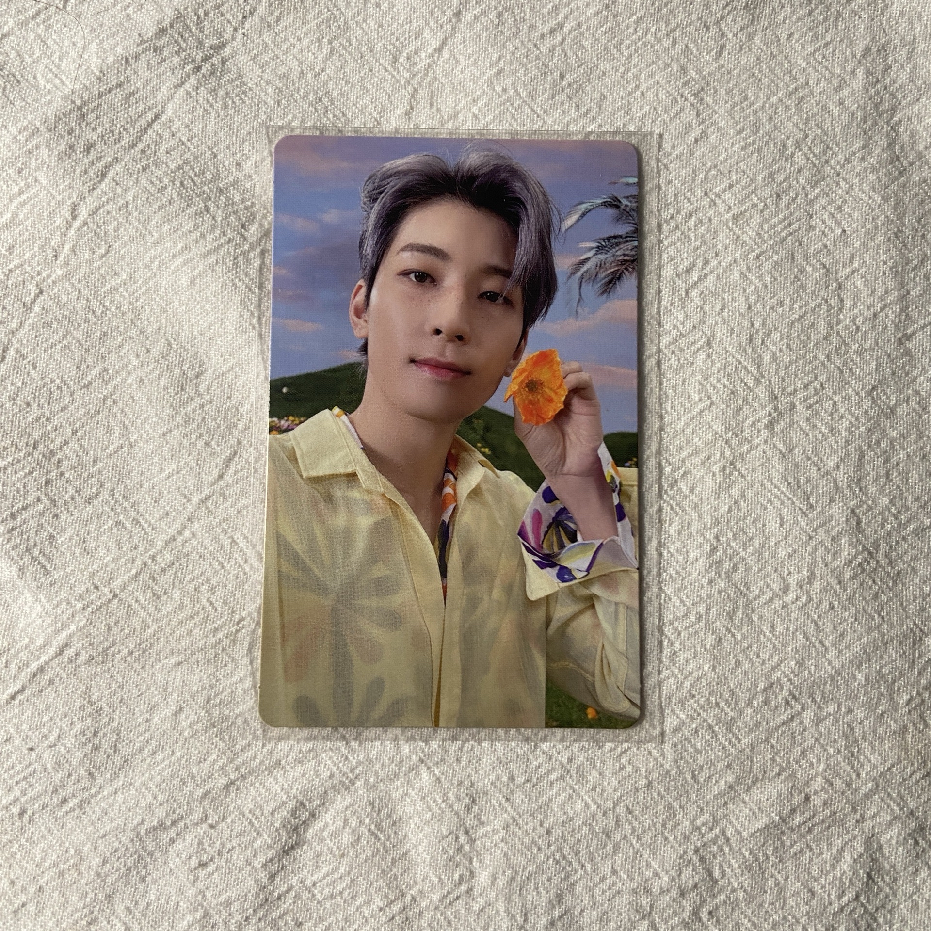 正四後續KIT專卡 圓